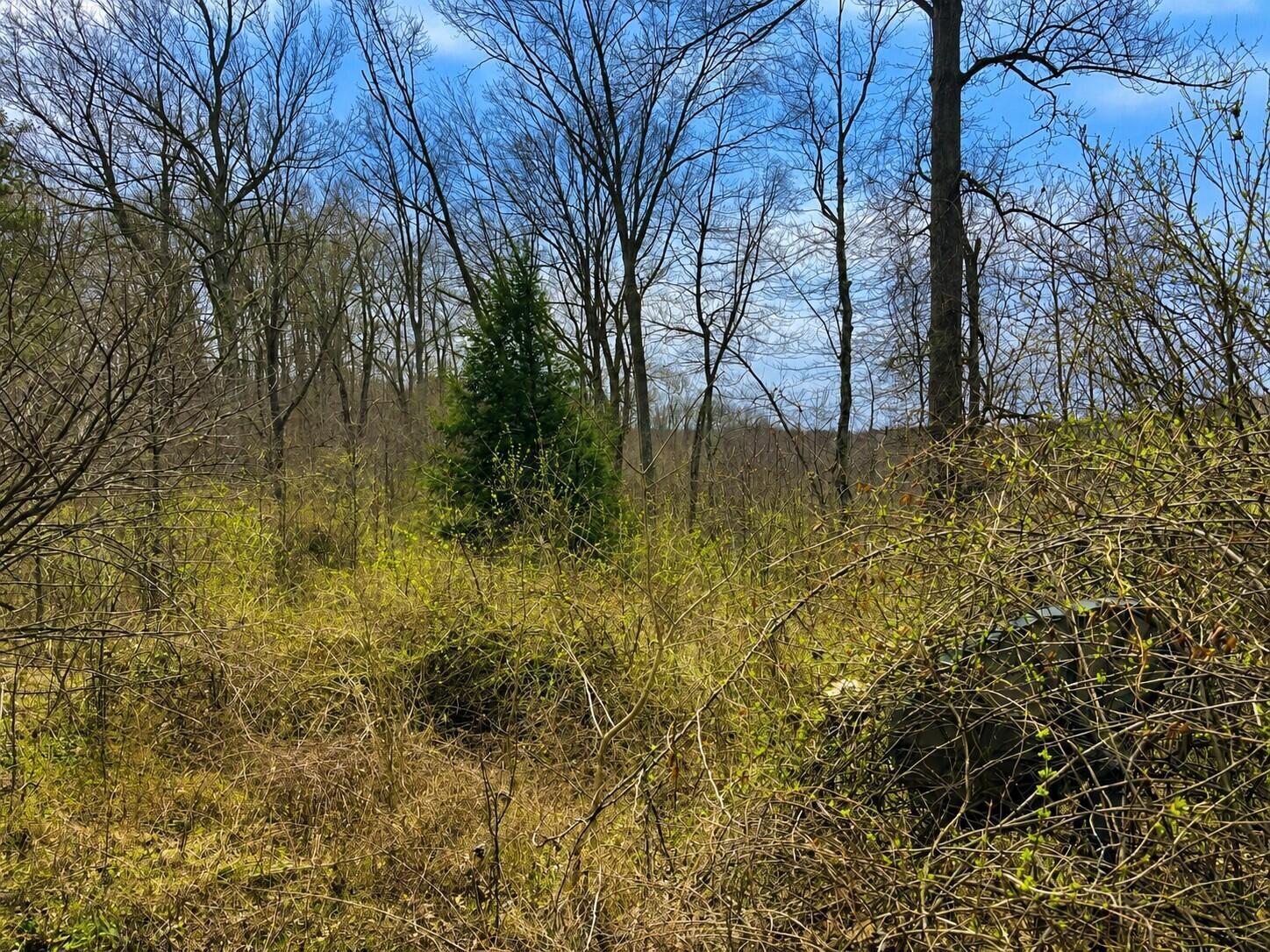 799 Woodruff Road Property Photo 4