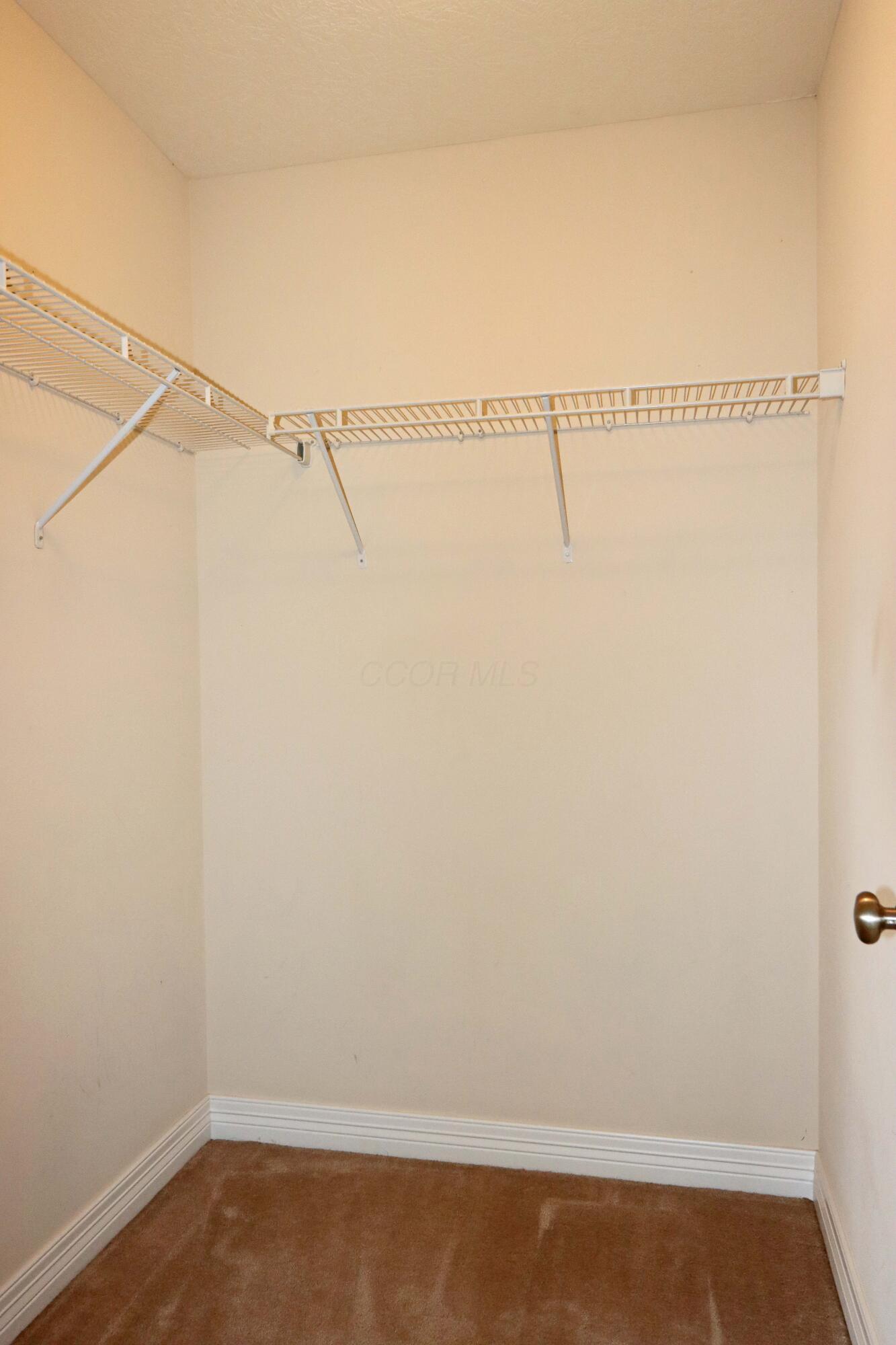 5385 Cedar Branch Way Property Photo 45