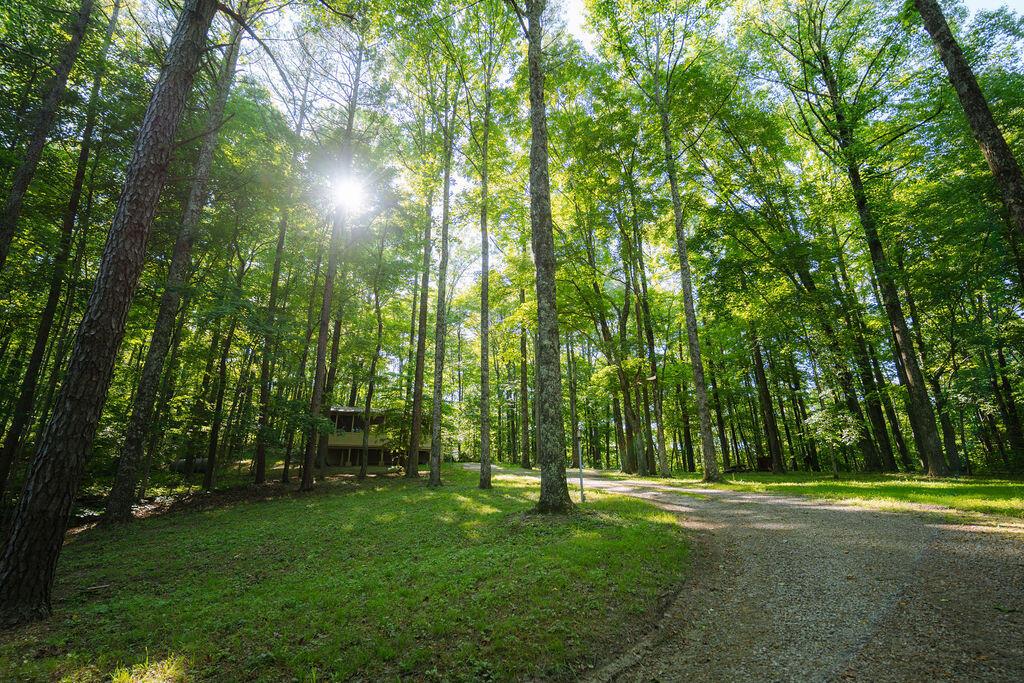 20554 Thompson Ridge Road Property Photo 3