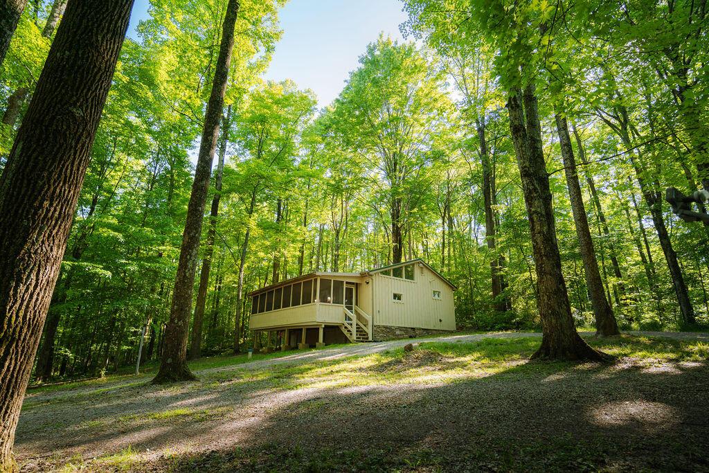 20554 Thompson Ridge Road Property Photo 4