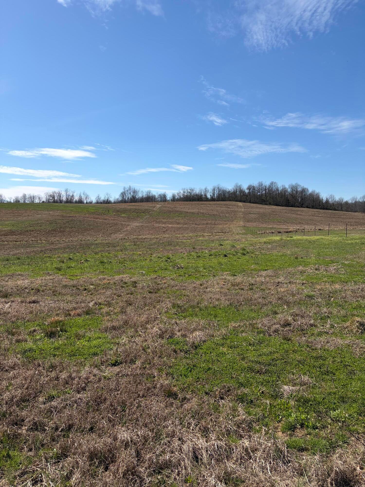 Lot 2- 0 Salem School Lot Road Property Photo 5