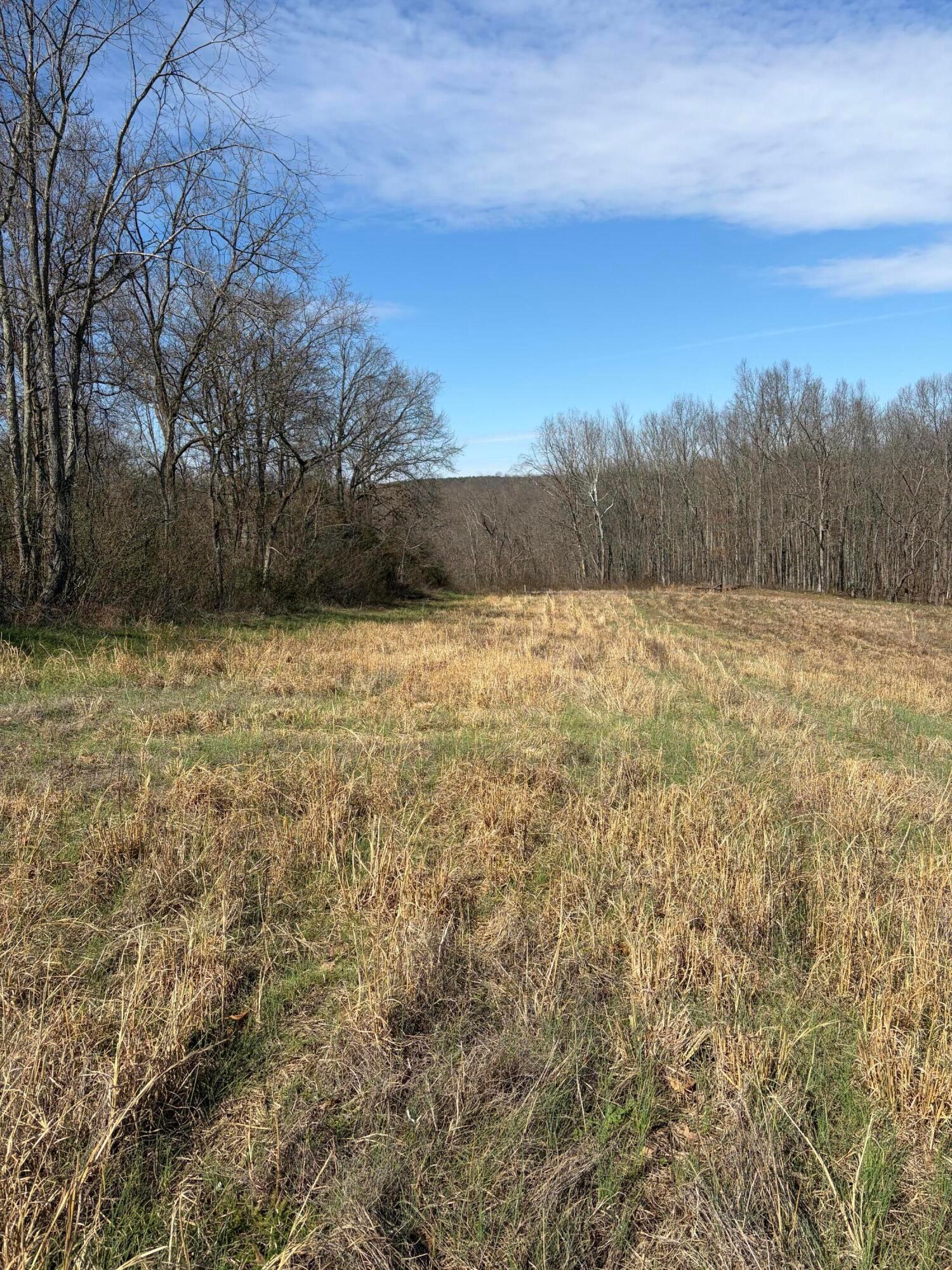 Lot 2- 0 Salem School Lot Road Property Photo 6