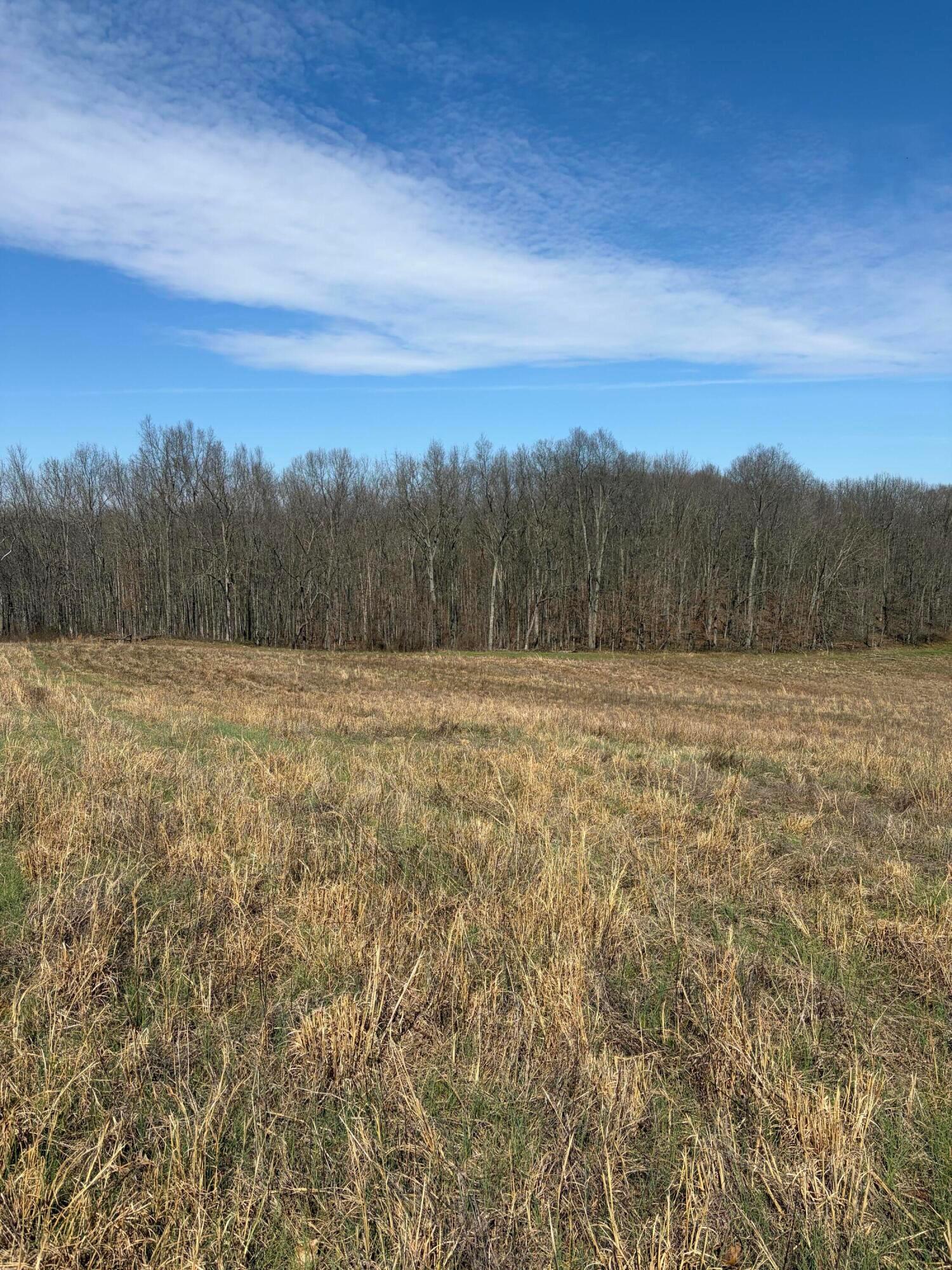 Lot 2- 0 Salem School Lot Road Property Photo 8
