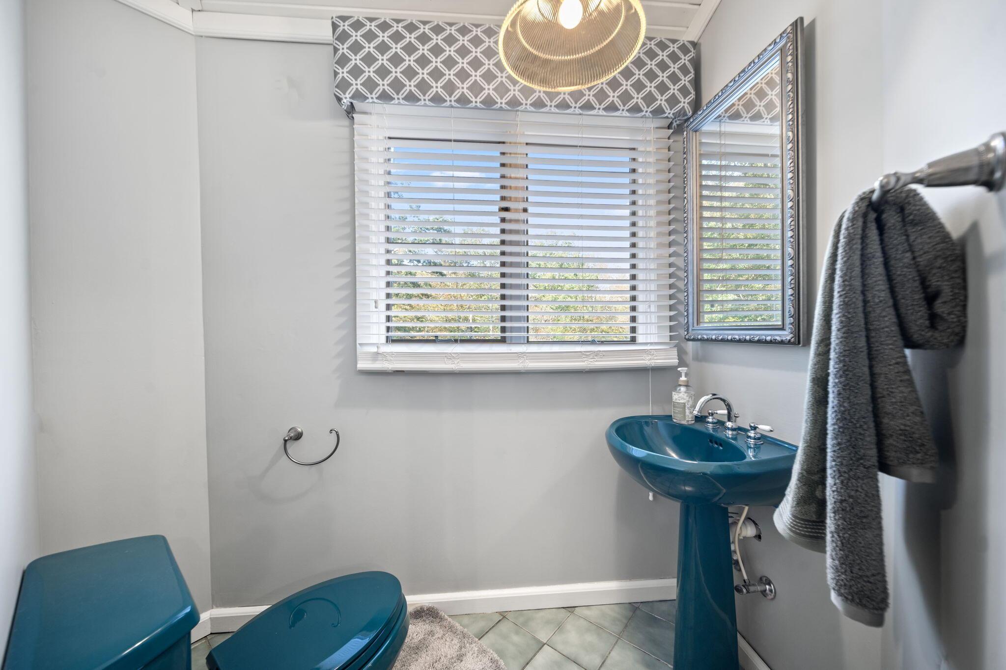 223 Virginia Lane Property Photo 42