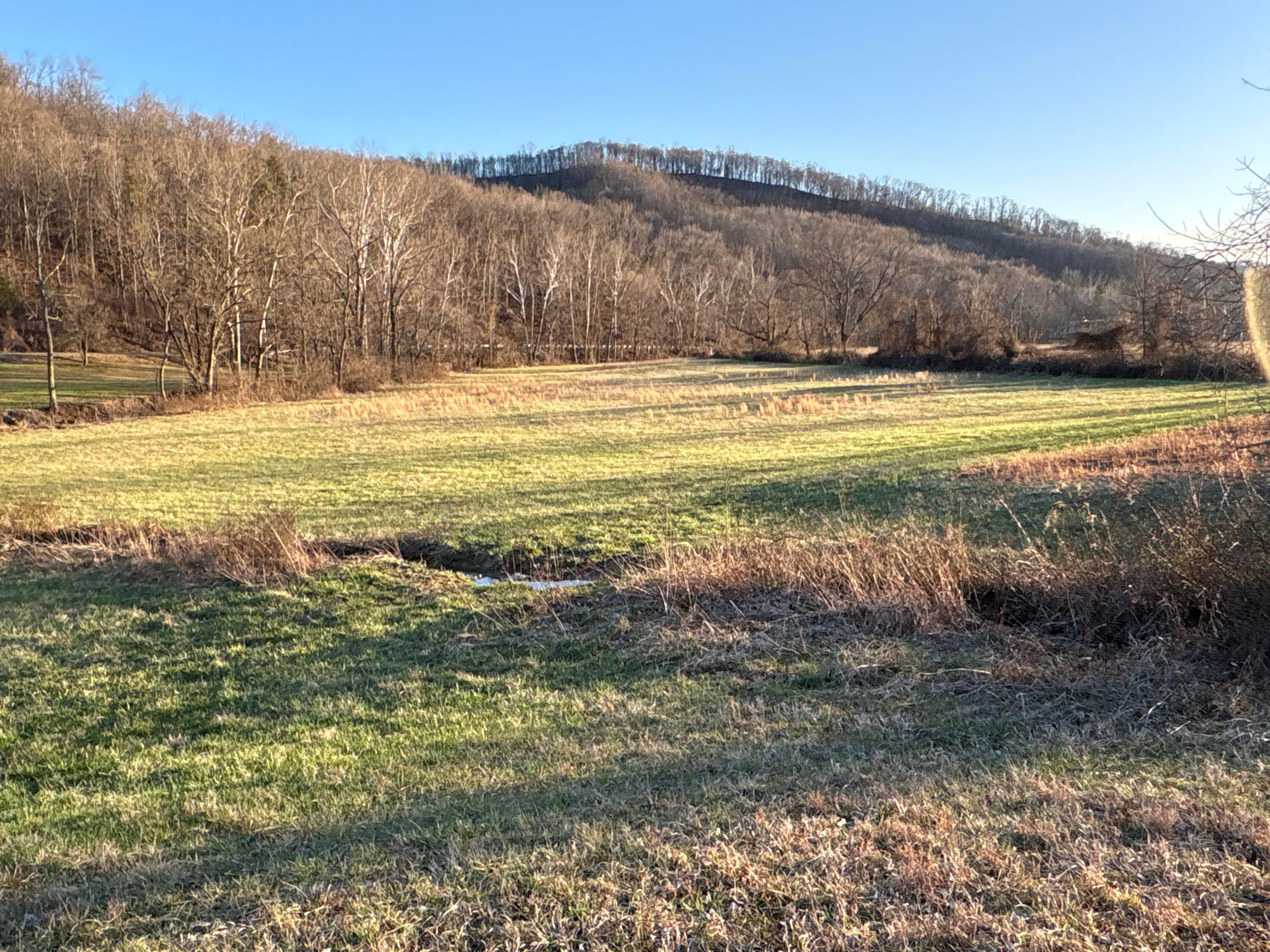 0 Millers Run-fallen Timber Road Property Photo 1