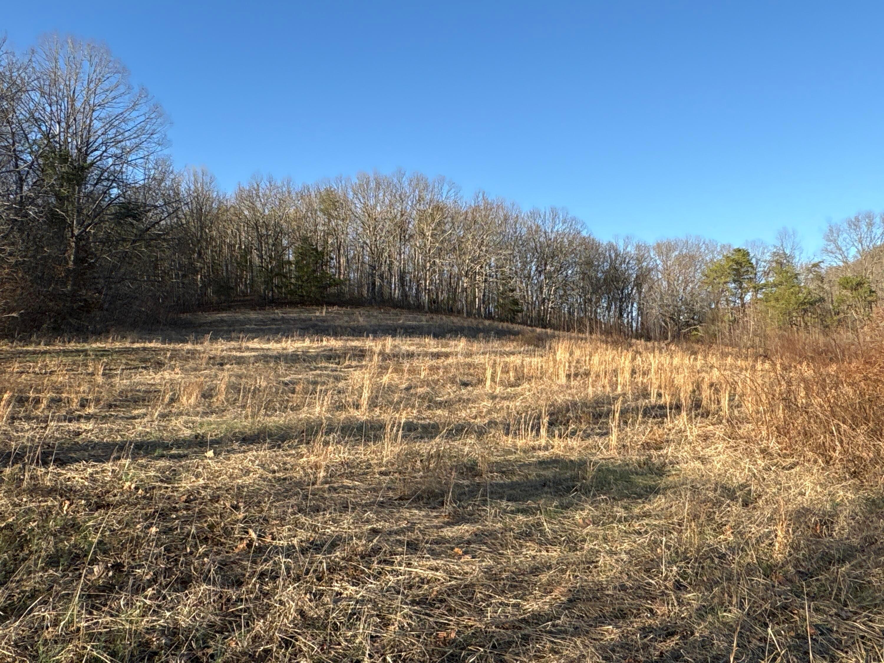 0 Millers Run-fallen Timber Road Property Photo 7