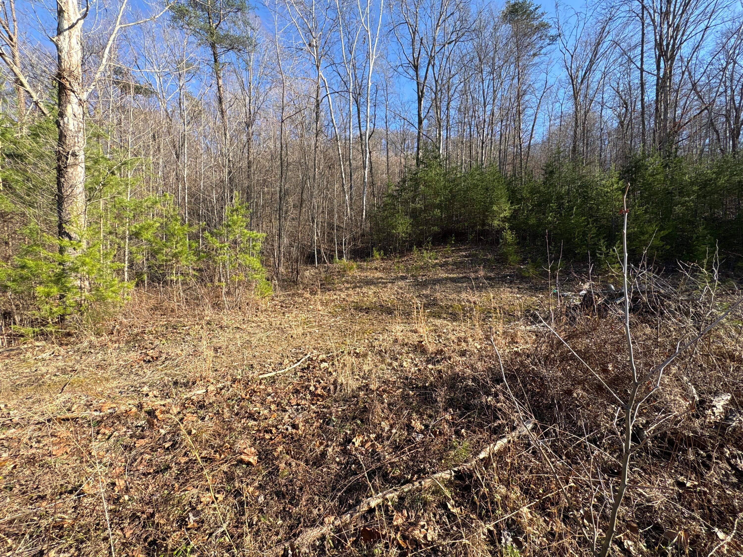0 Millers Run-fallen Timber Road Property Photo 8