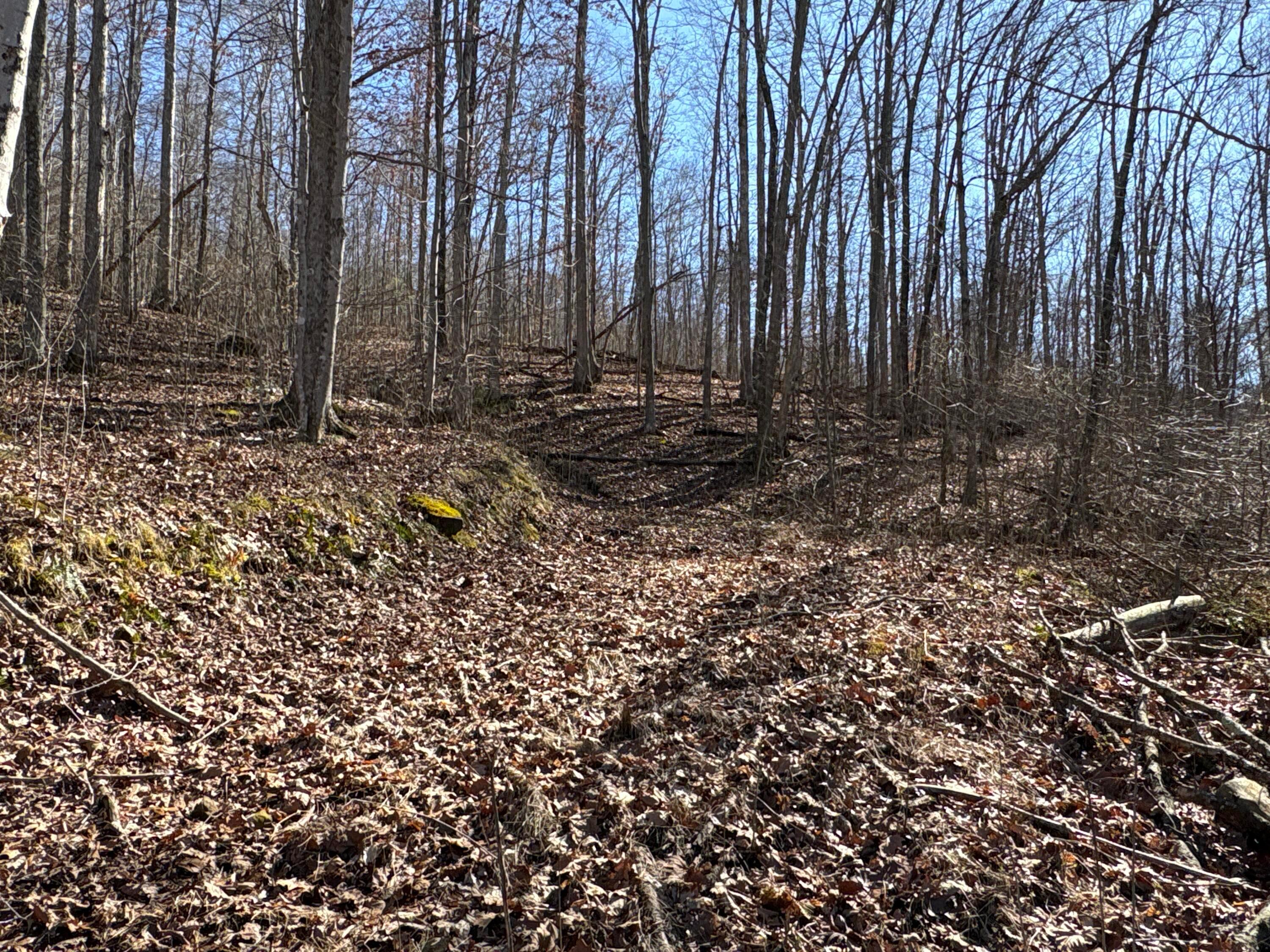 0 Millers Run-fallen Timber Road Property Photo 9