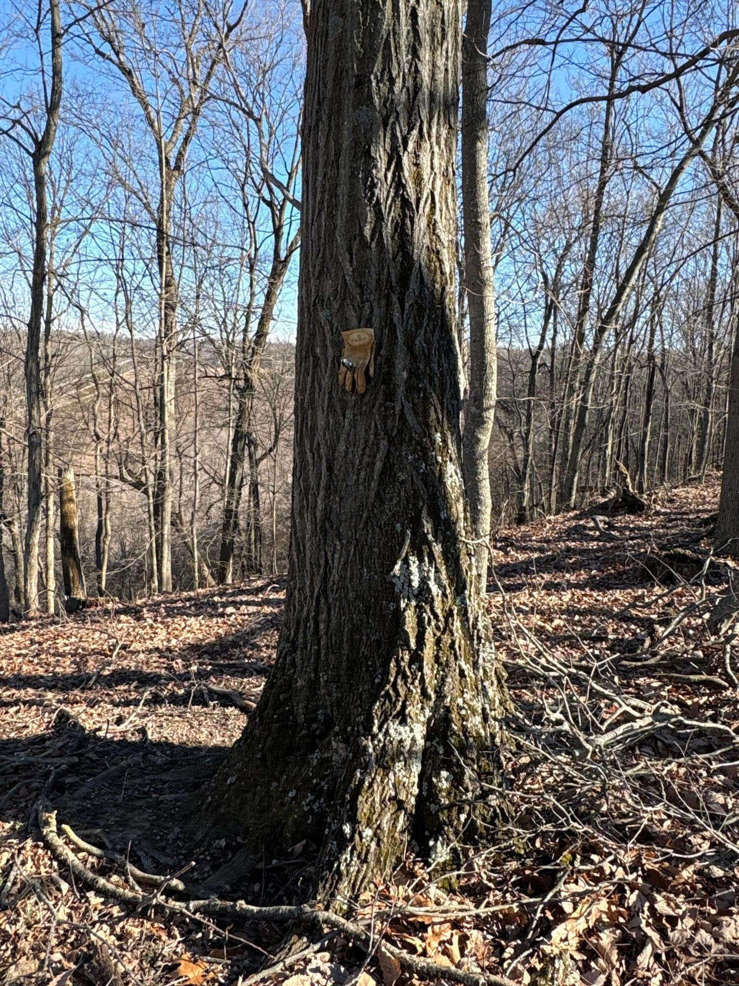 0 Millers Run-fallen Timber Road Property Photo 12