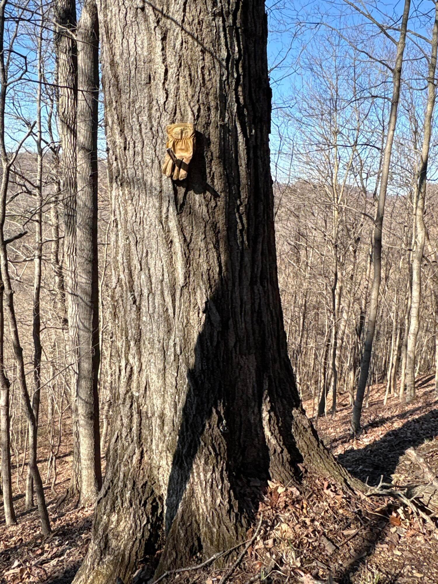 0 Millers Run-fallen Timber Road Property Photo 13
