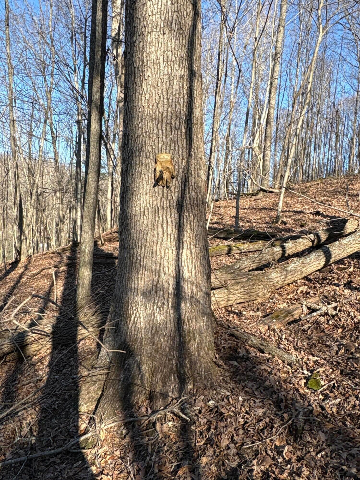 0 Millers Run-fallen Timber Road Property Photo 14