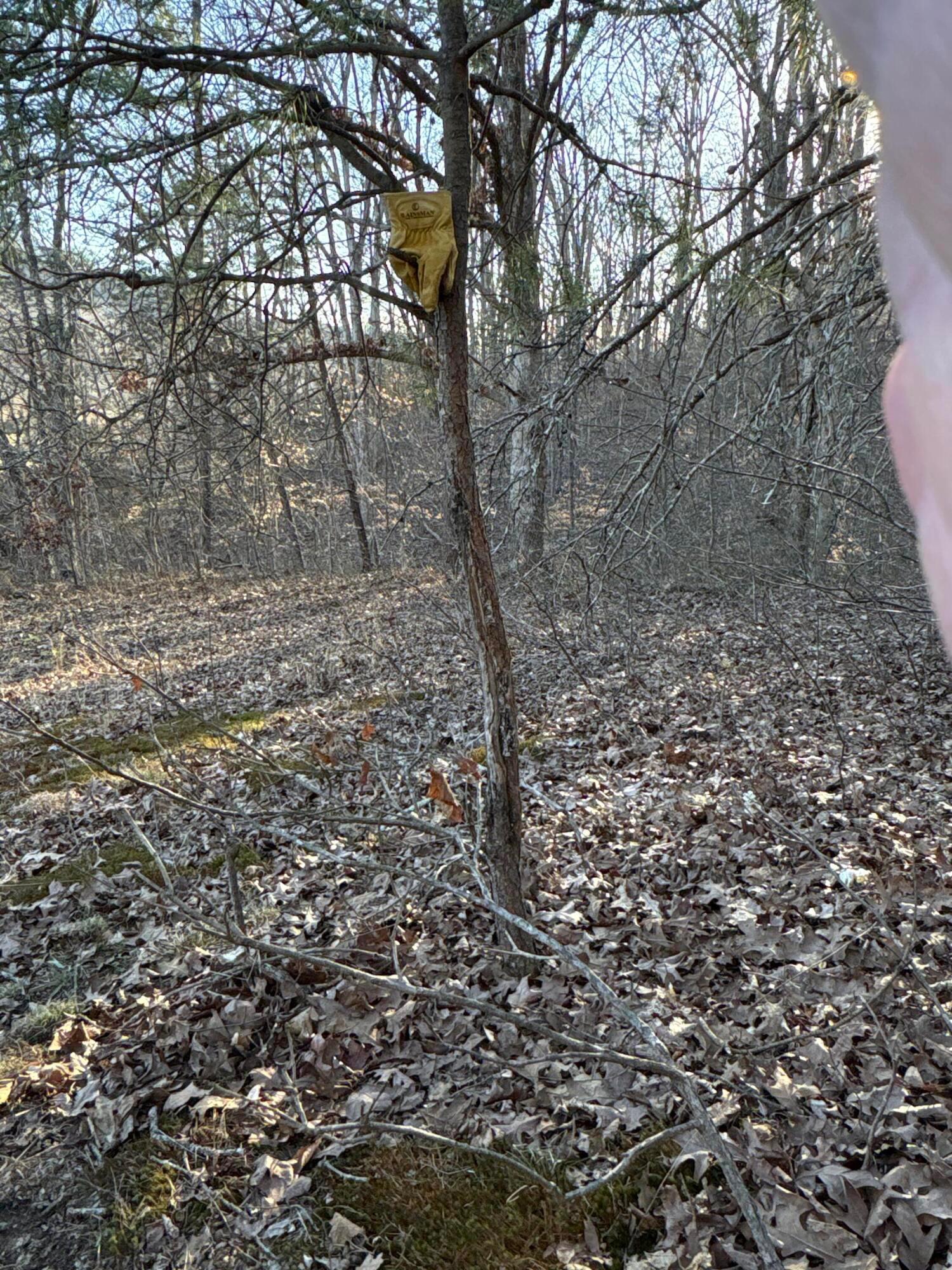 0 Millers Run-fallen Timber Road Property Photo 16