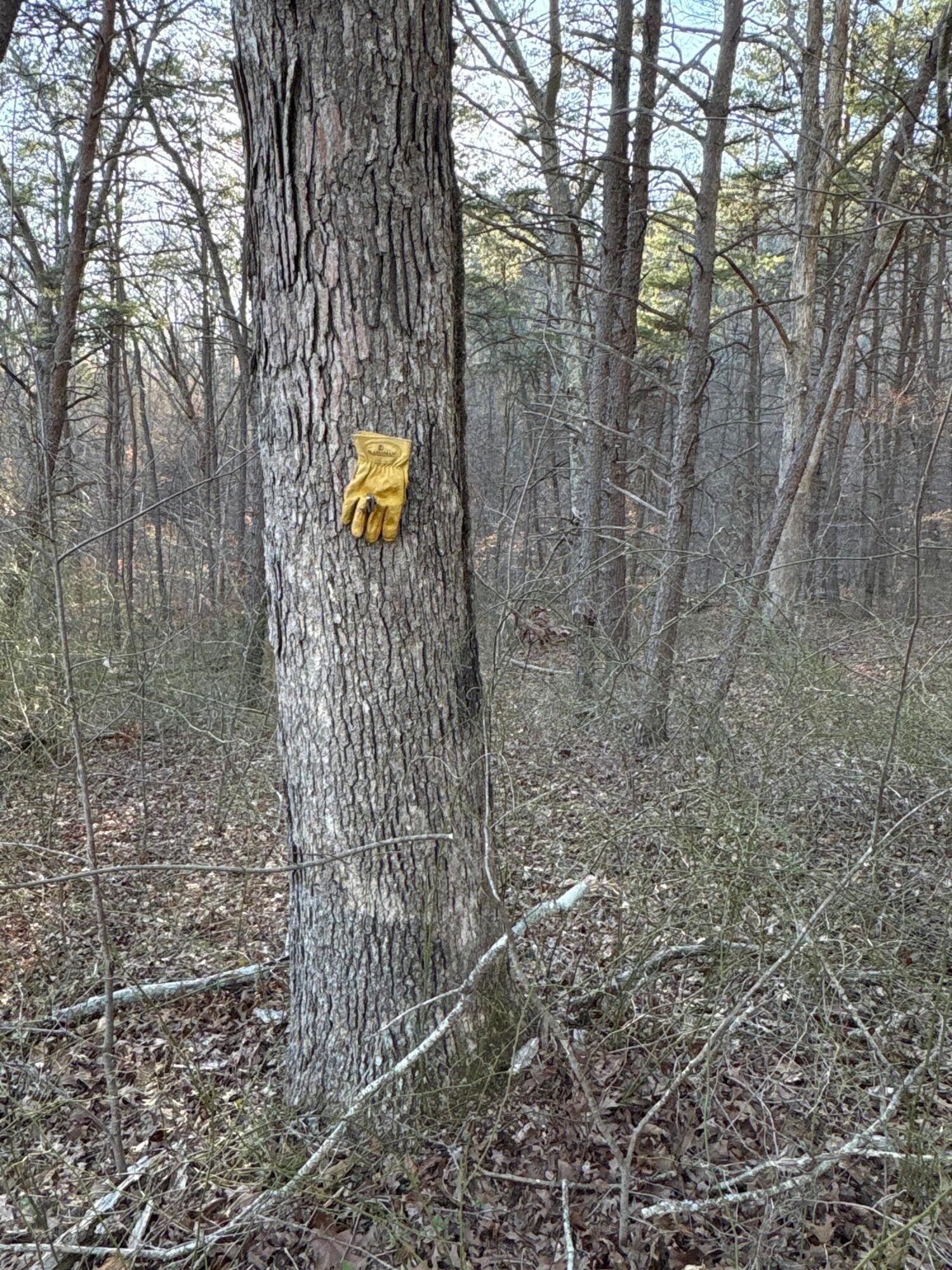 0 Millers Run-fallen Timber Road Property Photo 17