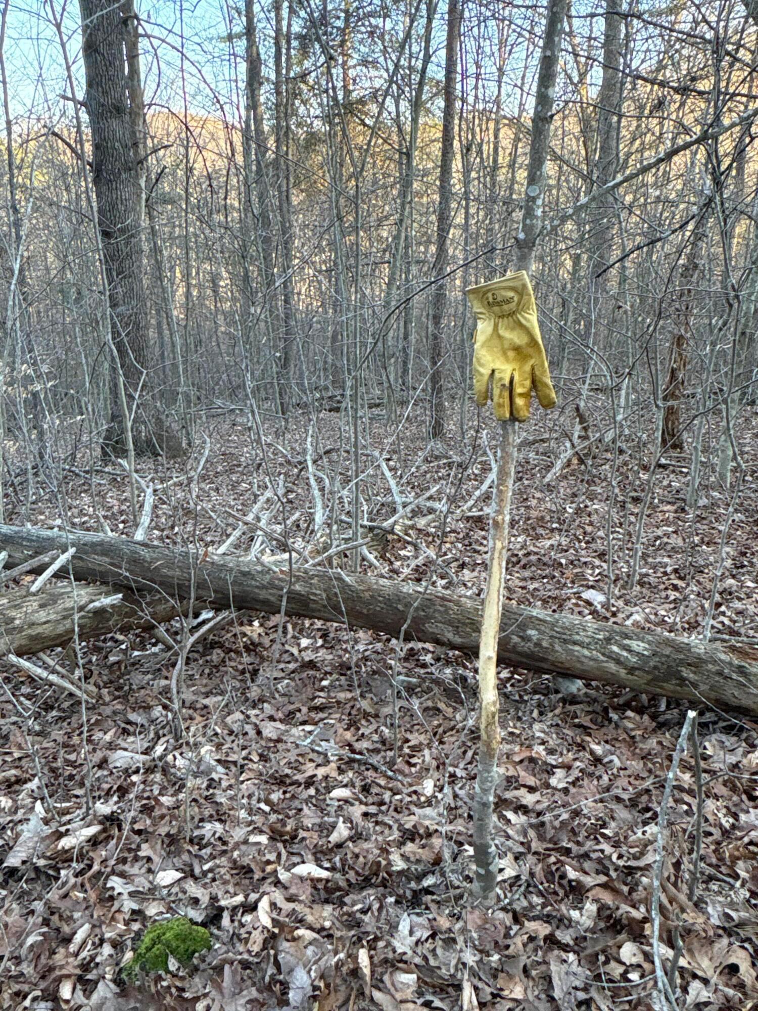 0 Millers Run-fallen Timber Road Property Photo 18