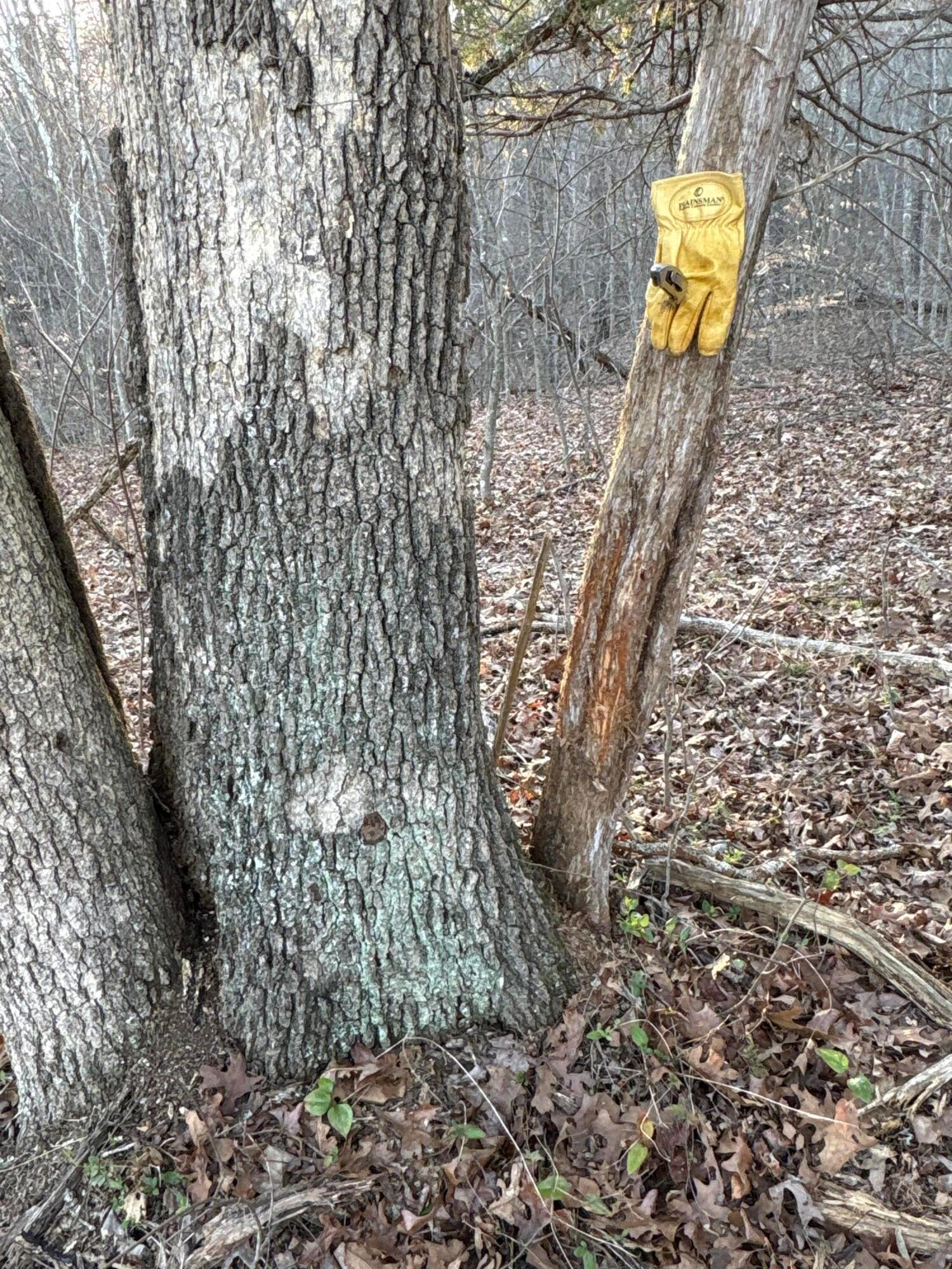0 Millers Run-fallen Timber Road Property Photo 20