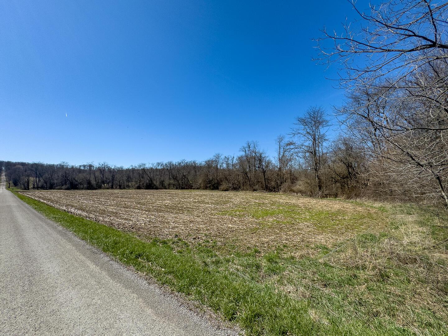 0 Lonesome Road Property Photo 8