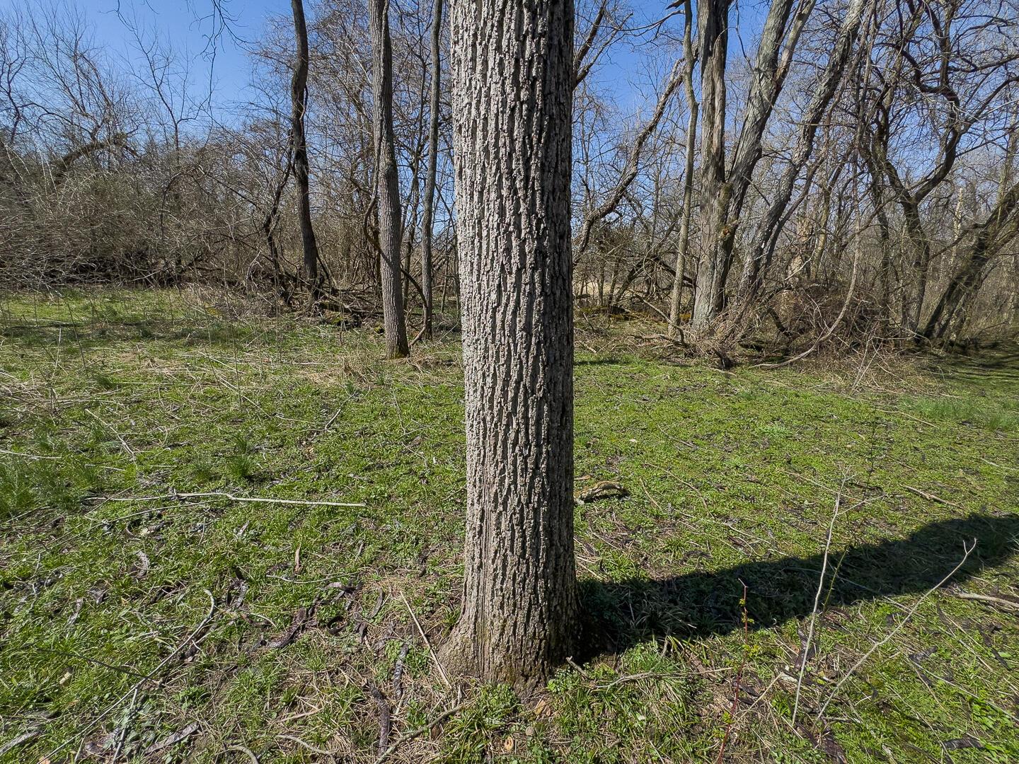 0 Lonesome Road Property Photo 10