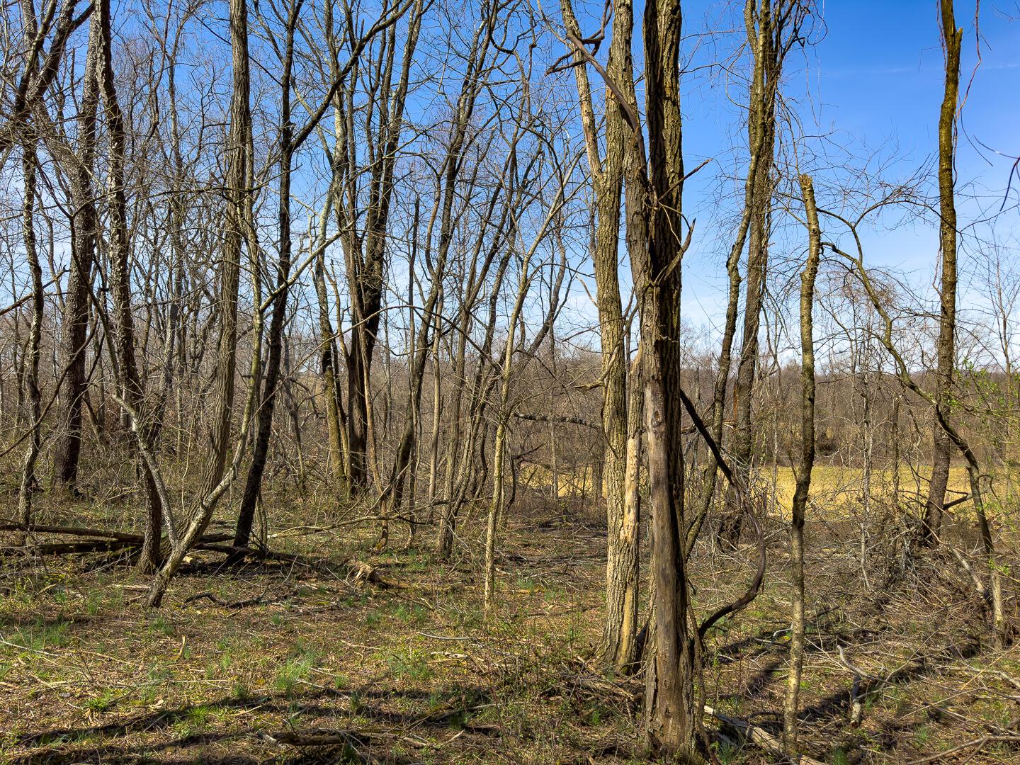 0 Lonesome Road Property Photo 26