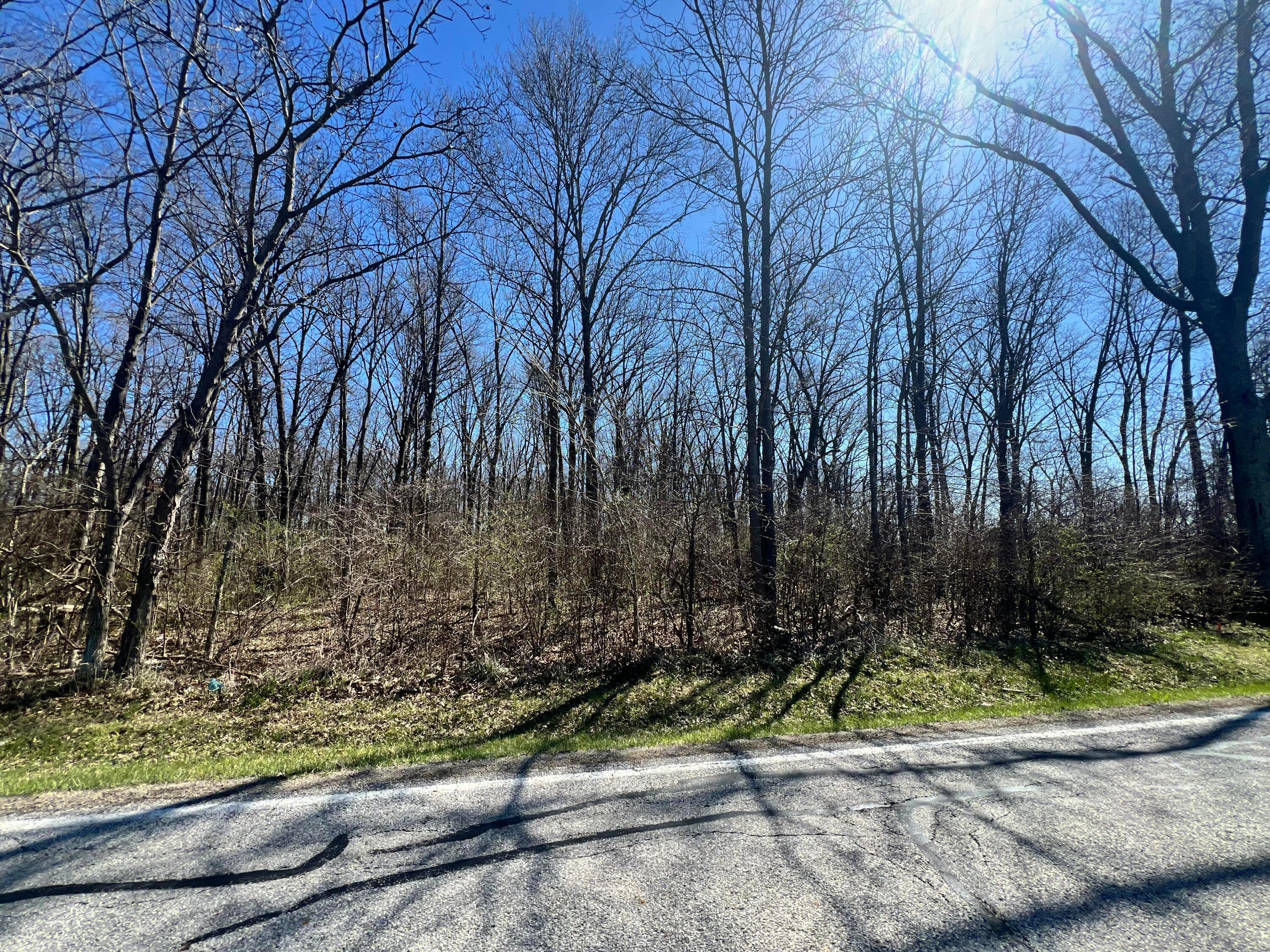 0 Morris Leist Lot 2 Road Property Photo 1
