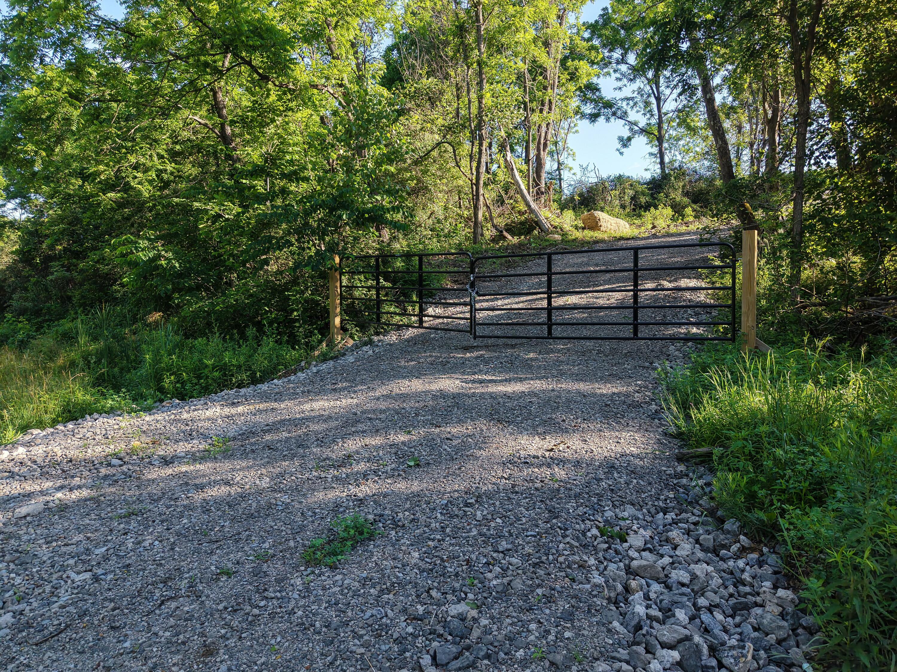 56 Roscoe Road Property Photo 6