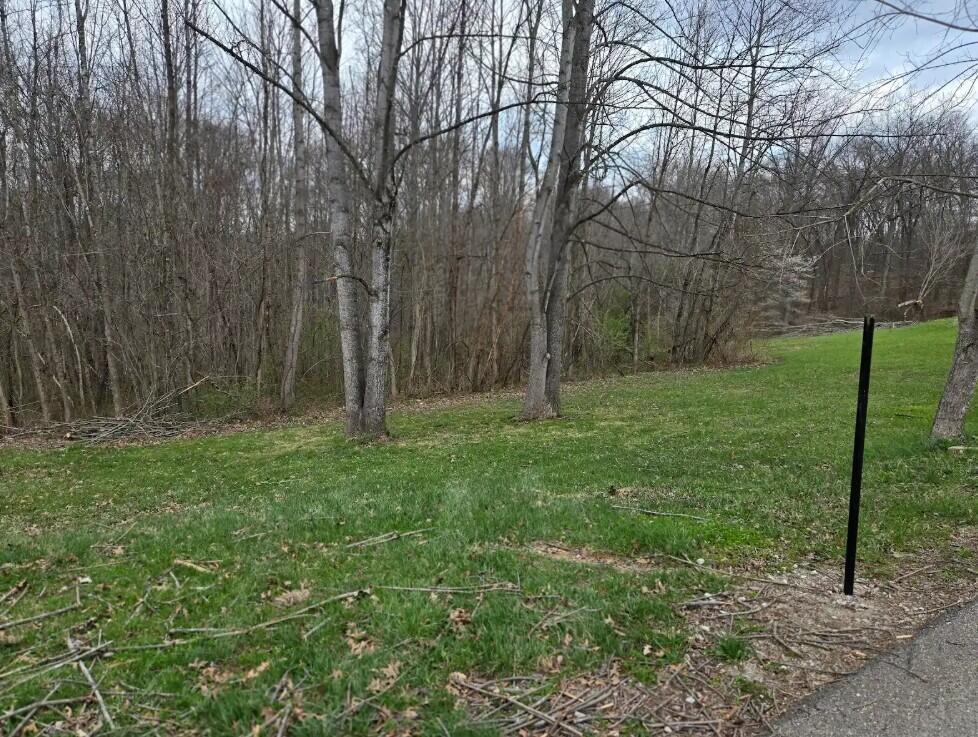 0 Highland Park Road Property Photo 3
