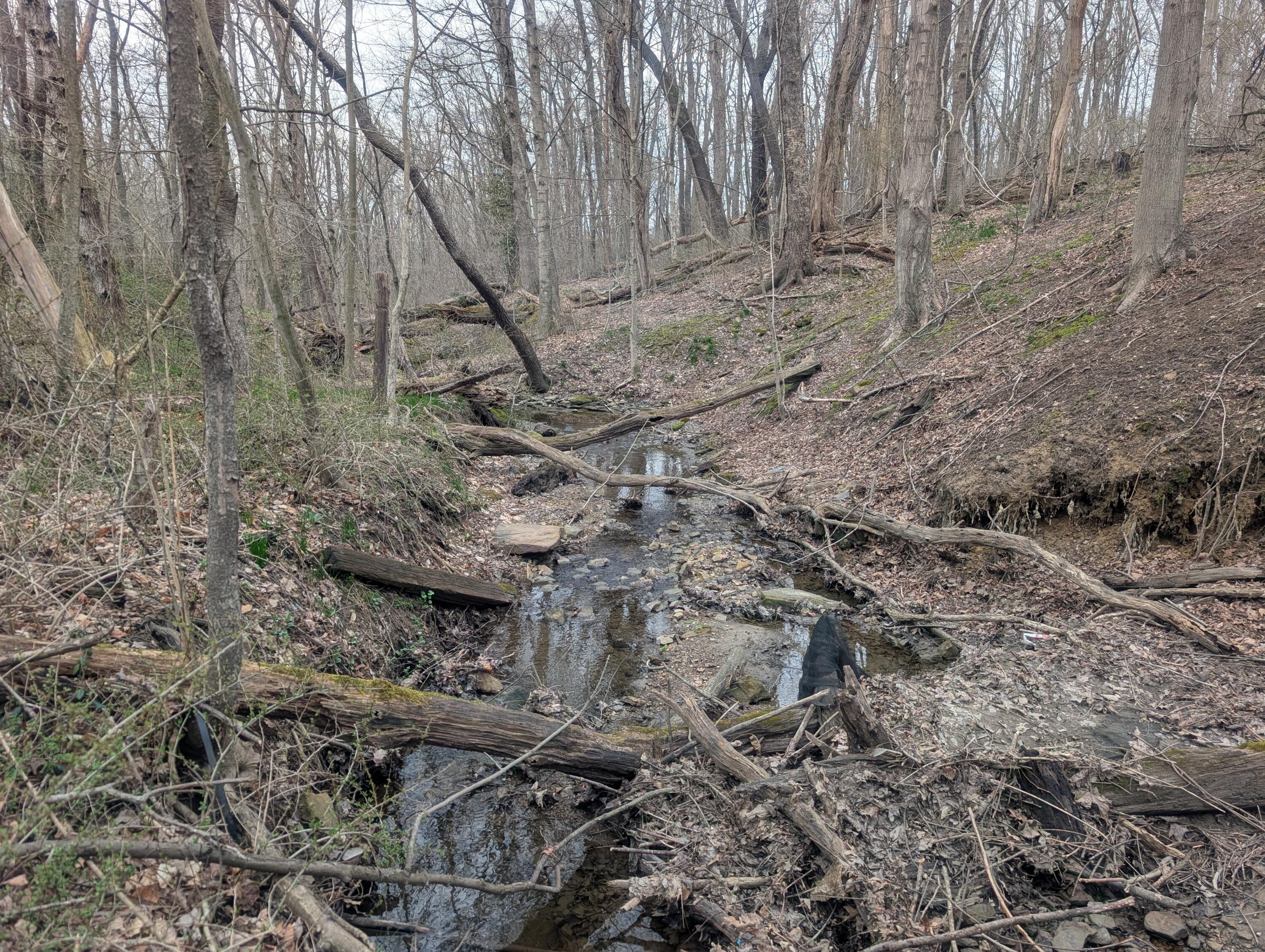 0 High Property Photo 3