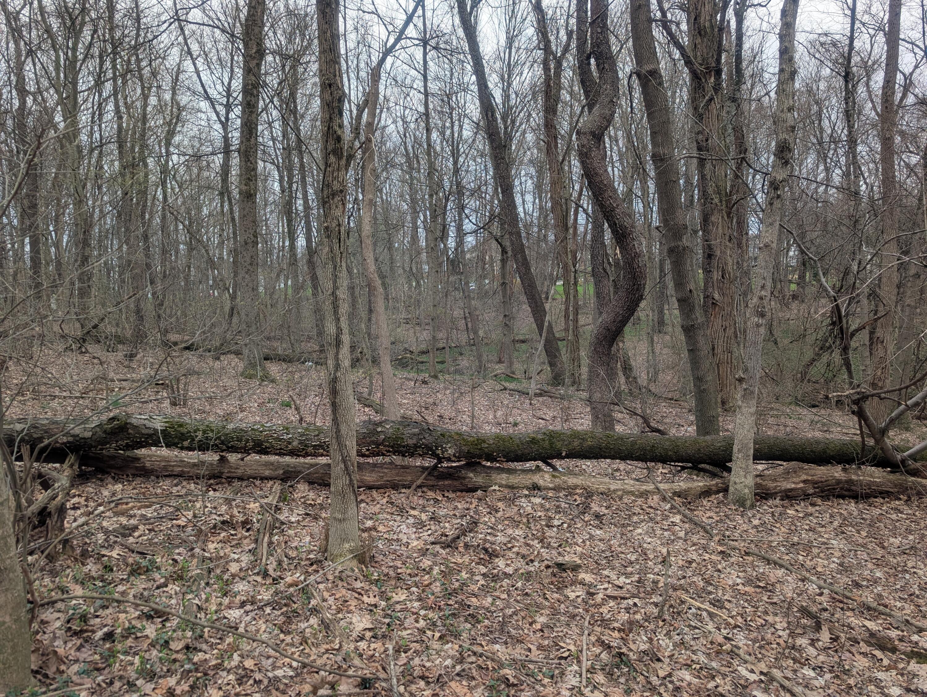 0 High Property Photo 5