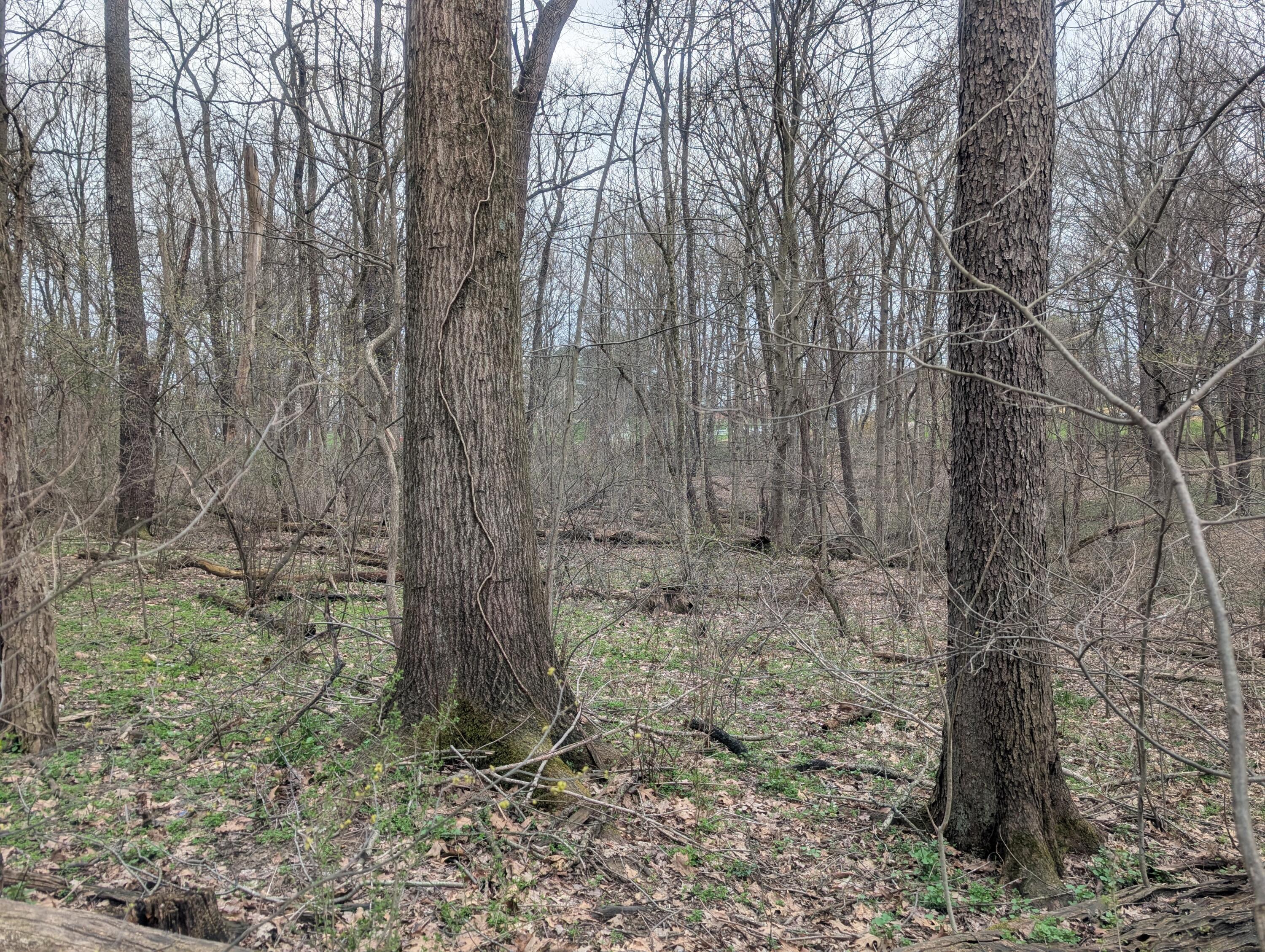 0 High Property Photo 6