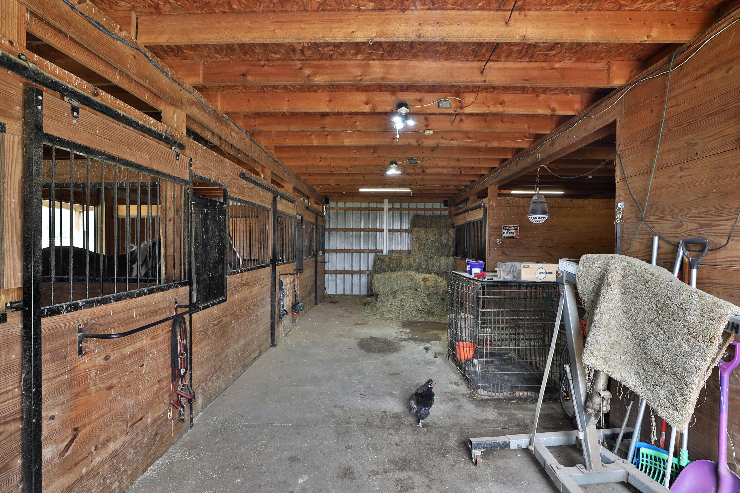 2313 Horseshoe Road Property Photo 22