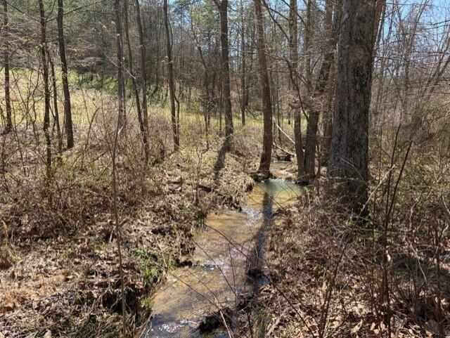 22497 State Route 93 S Property Photo 8