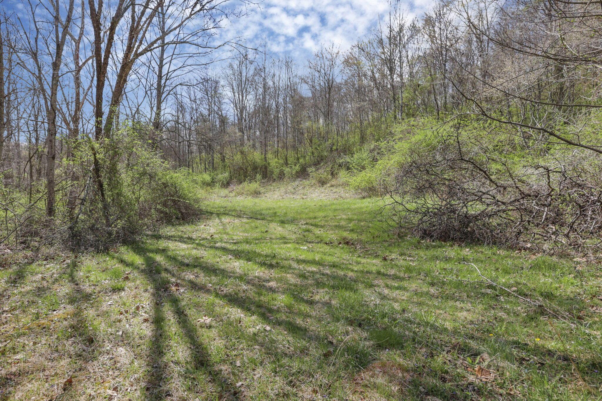 22497 State Route 93 S Property Photo 11