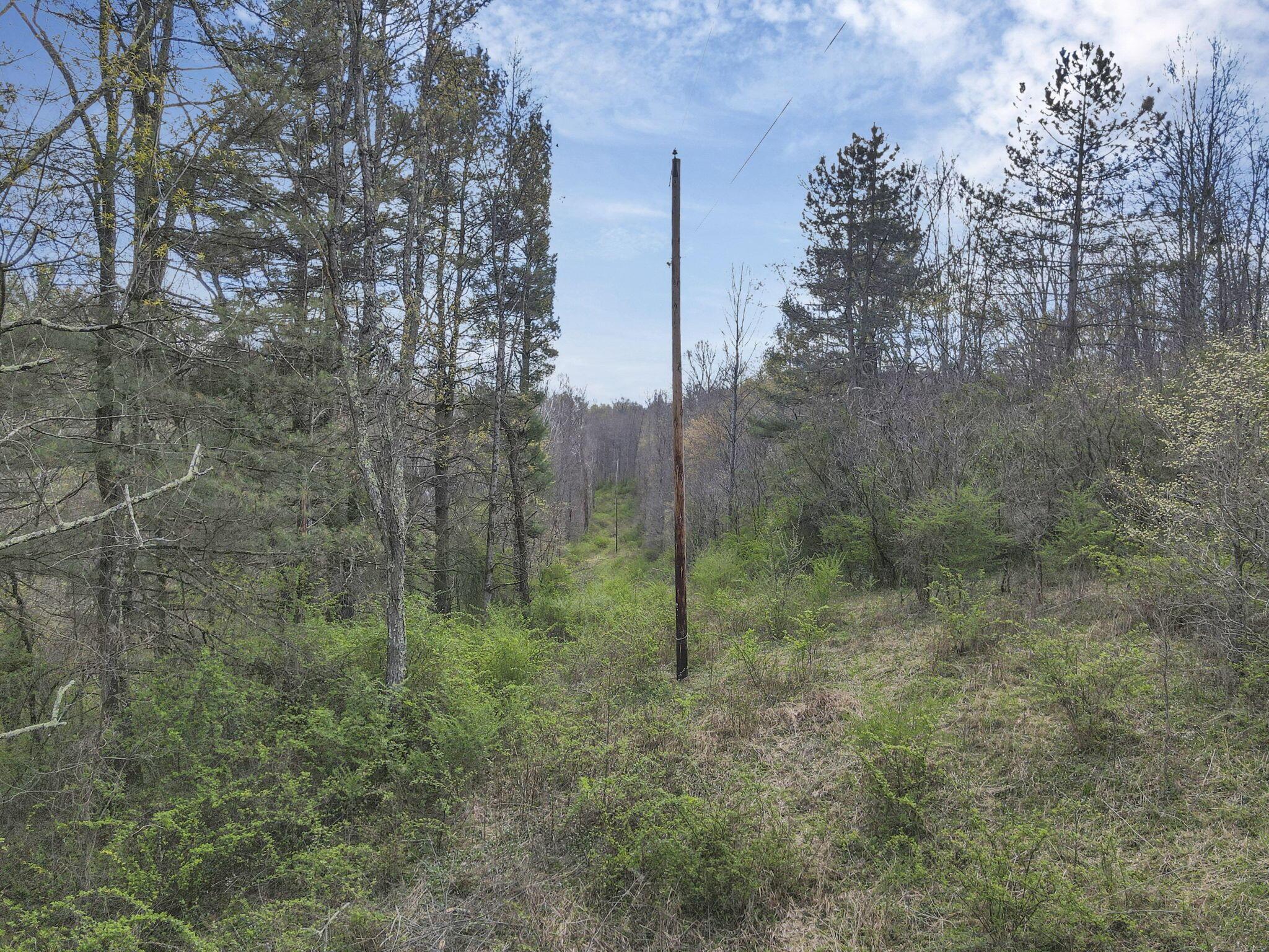 22497 State Route 93 S Property Photo 16