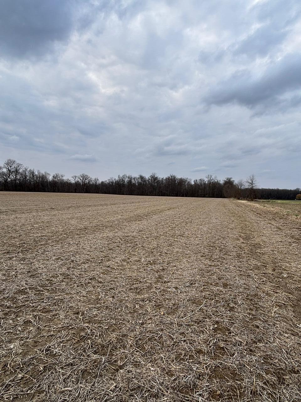 0 Longshore Property Photo 1