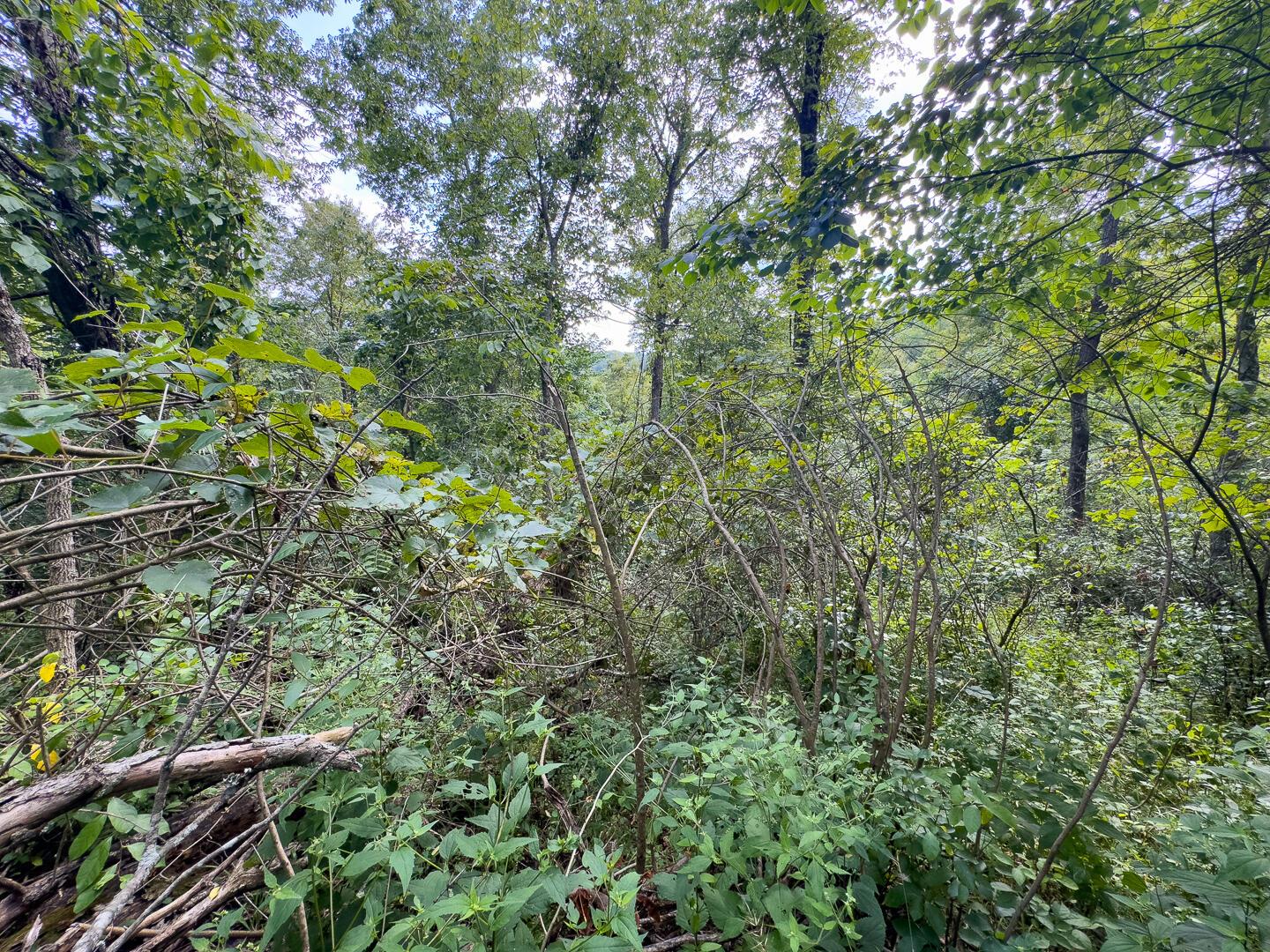 0 E Side Sand Ridge Road, 338 Property Photo 12