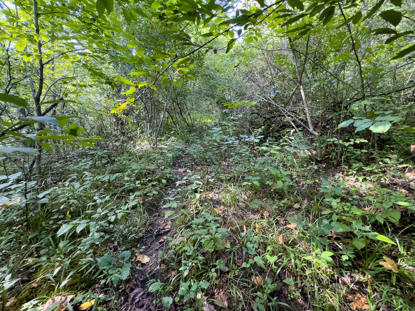 0 E Side Sand Ridge Road, 338 Property Photo 15