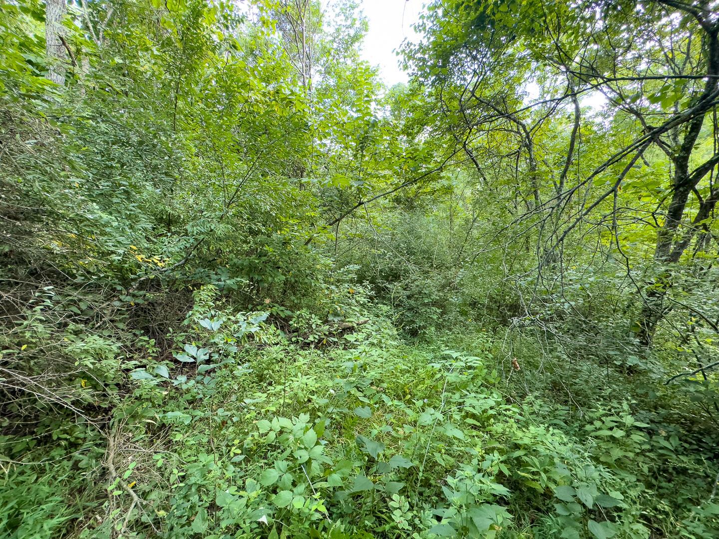 0 E Side Sand Ridge Road, 338 Property Photo 16