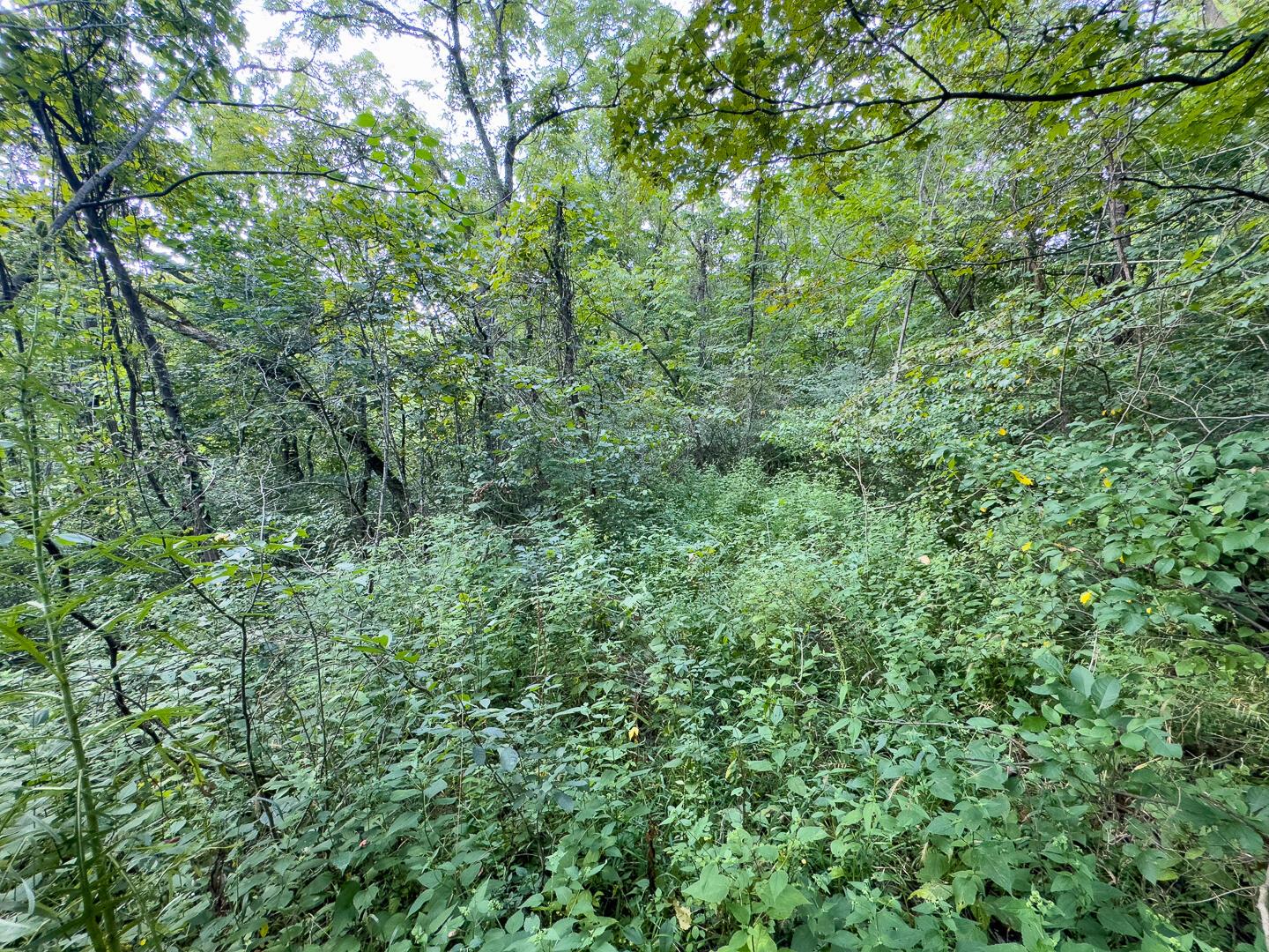 0 E Side Sand Ridge Road, 338 Property Photo 17