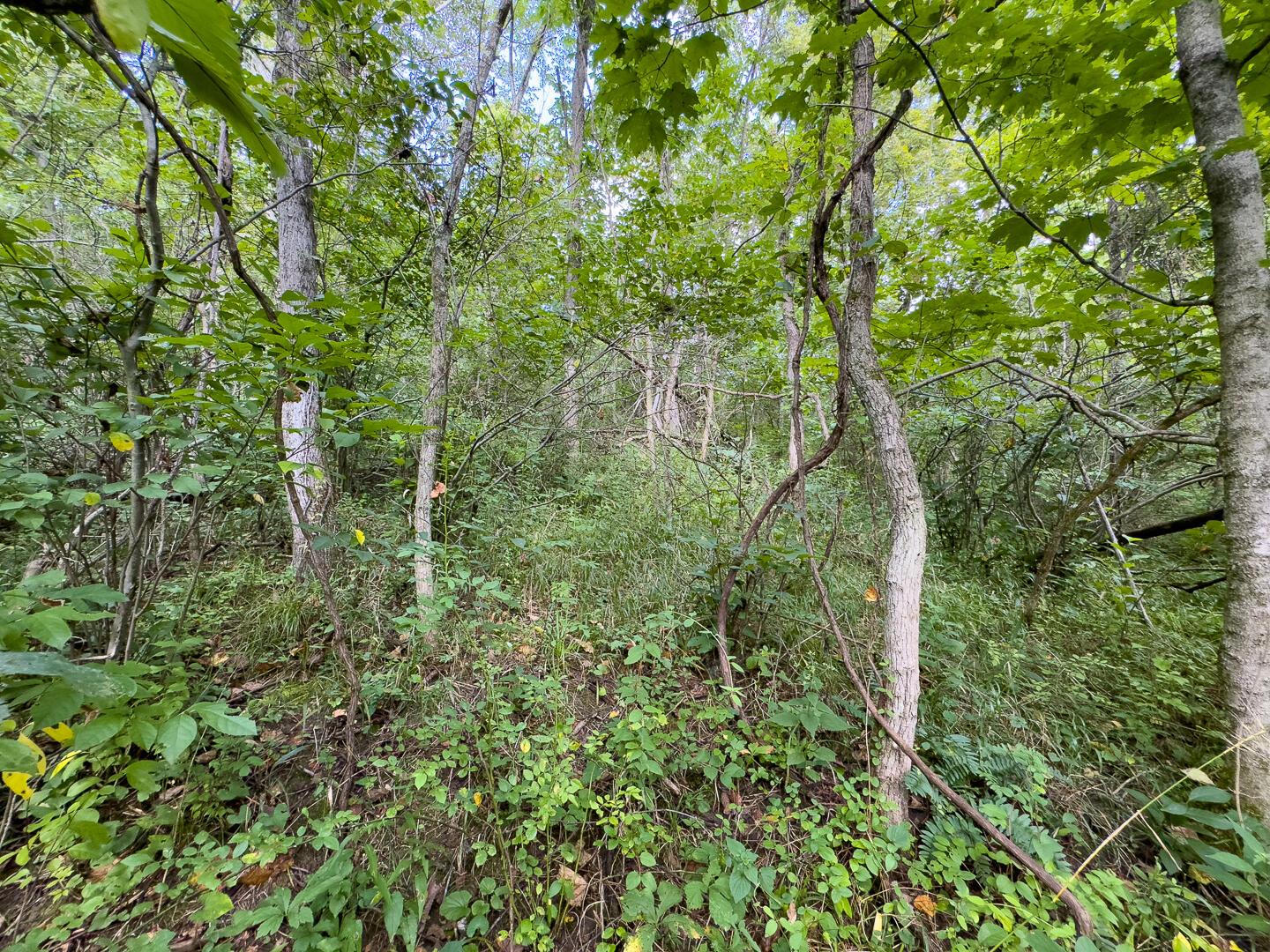 0 E Side Sand Ridge Road, 338 Property Photo 18