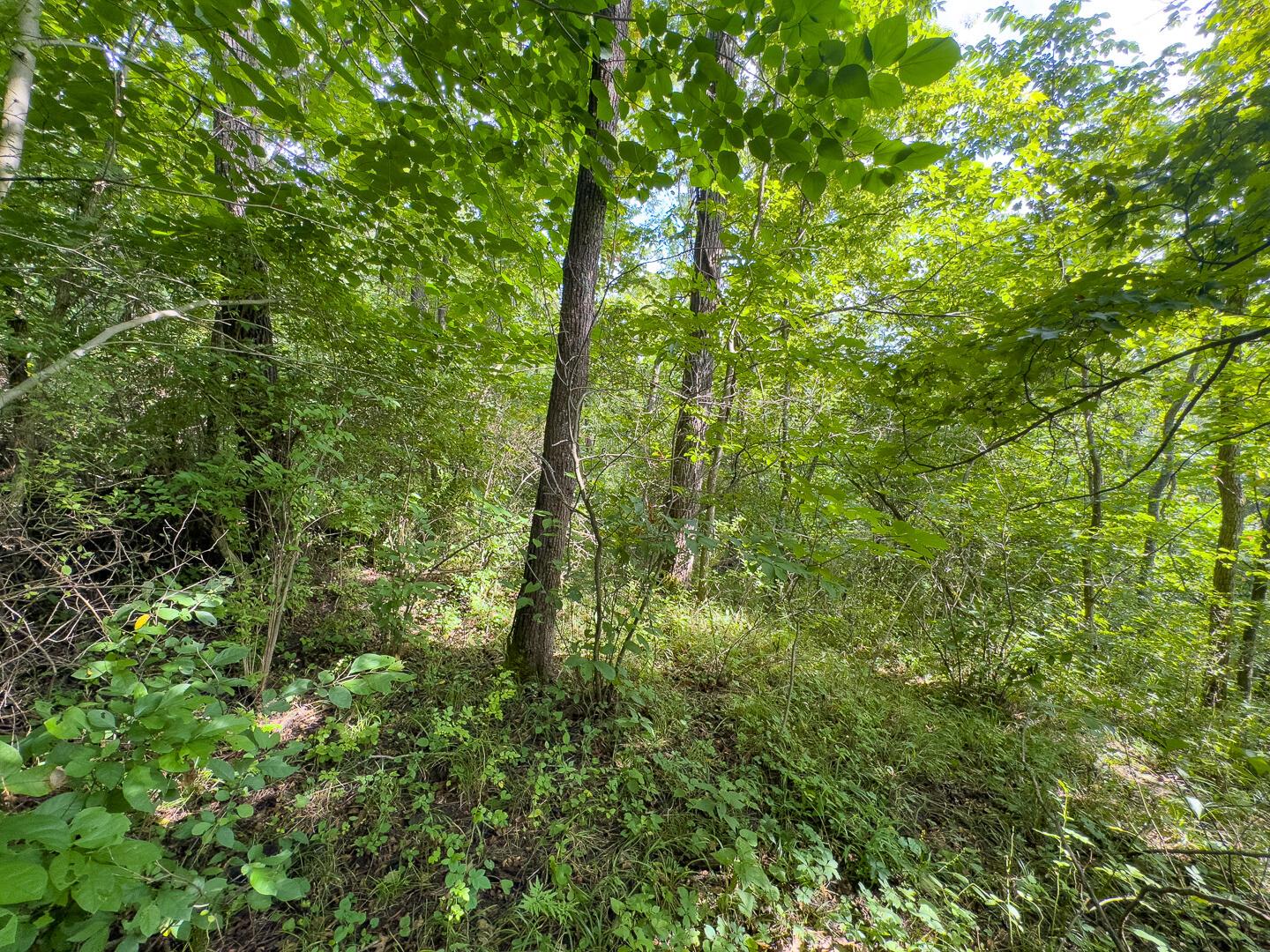 0 E Side Sand Ridge Road, 338 Property Photo 20