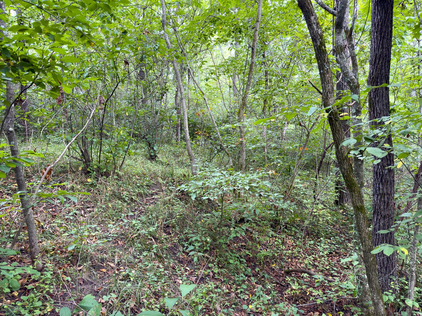 0 E Side Sand Ridge Road, 338 Property Photo 25