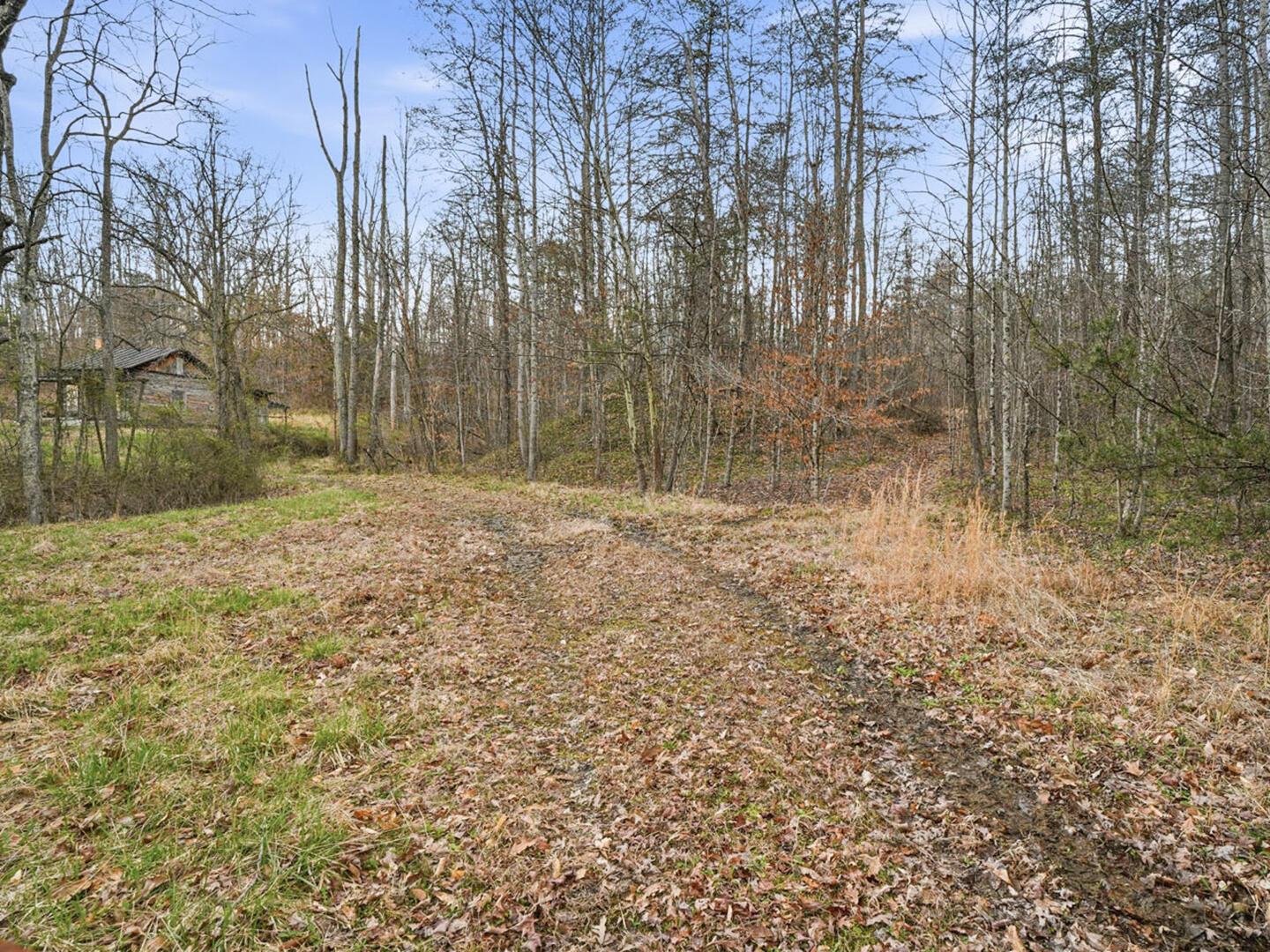 Parcel 7 State Route 141 Property Photo 6