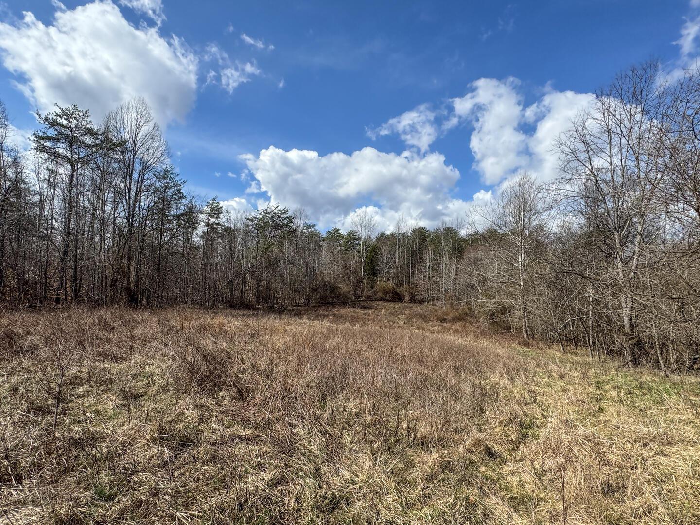Parcel 7 State Route 141 Property Photo 20