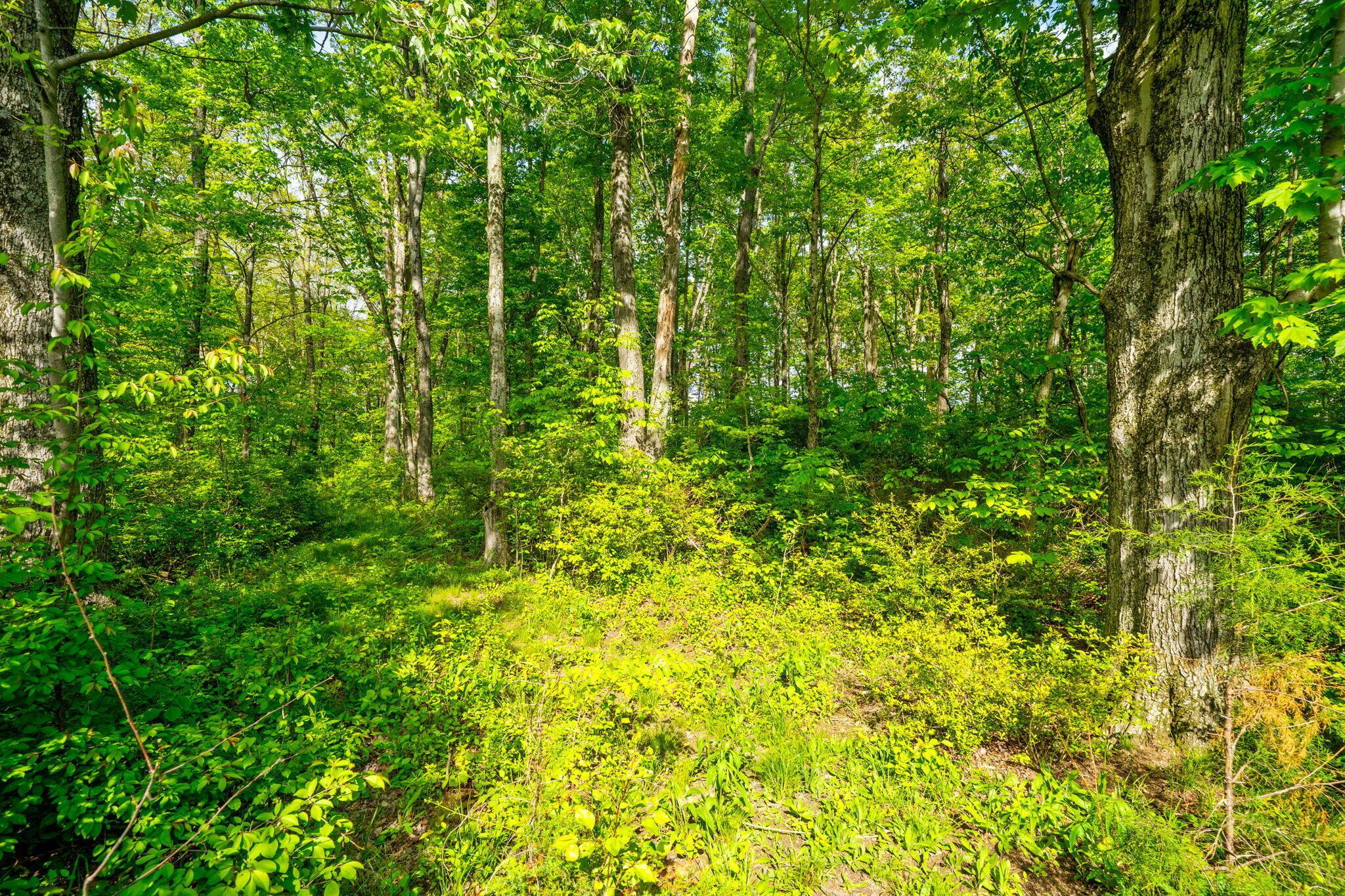 5164 Riverway Run Property Photo 16