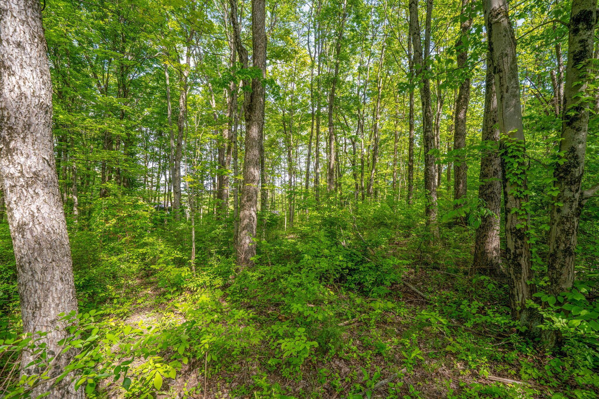 5164 Riverway Run Property Photo 18