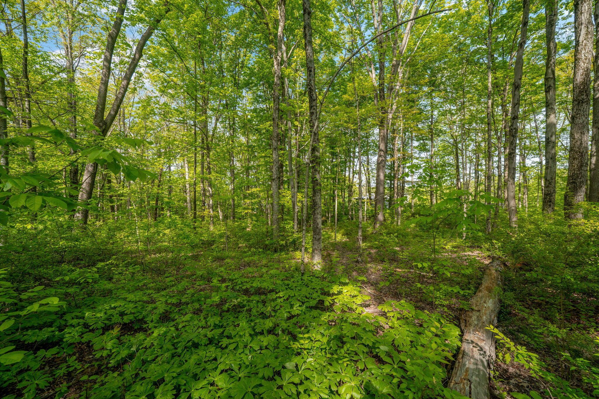 5164 Riverway Run Property Photo 19