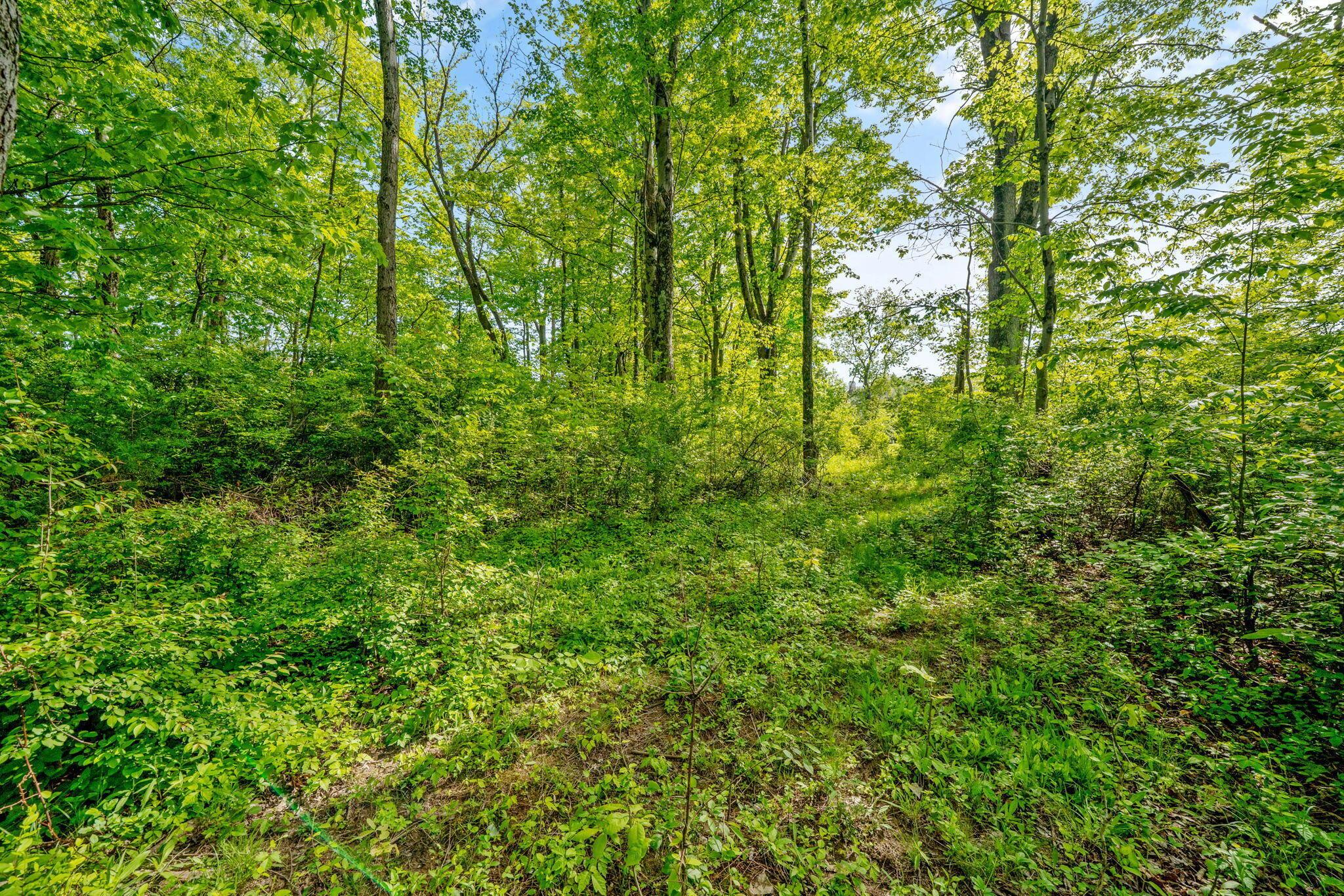5164 Riverway Run Property Photo 20