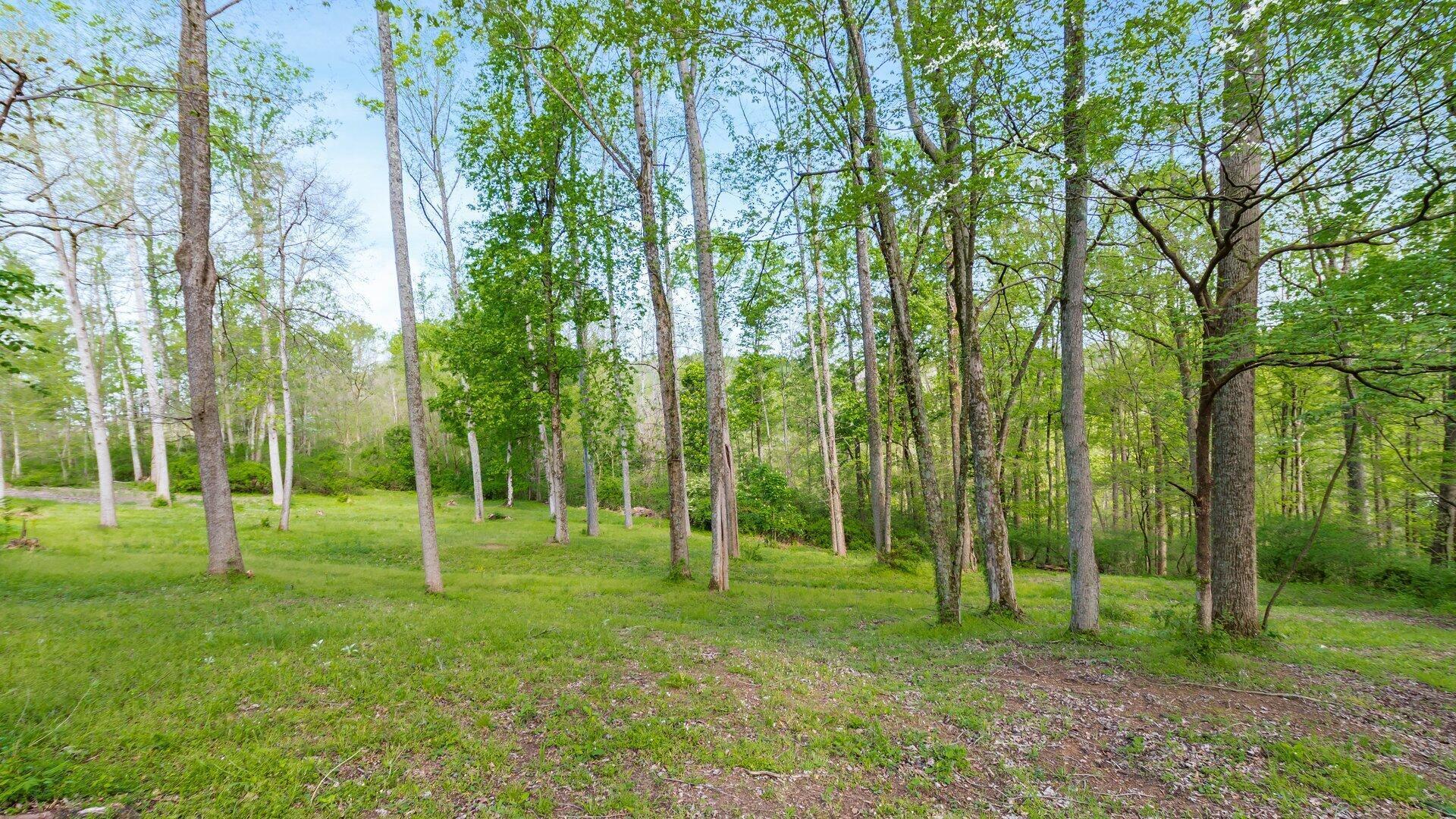 2531 Nicholas Property Photo 40