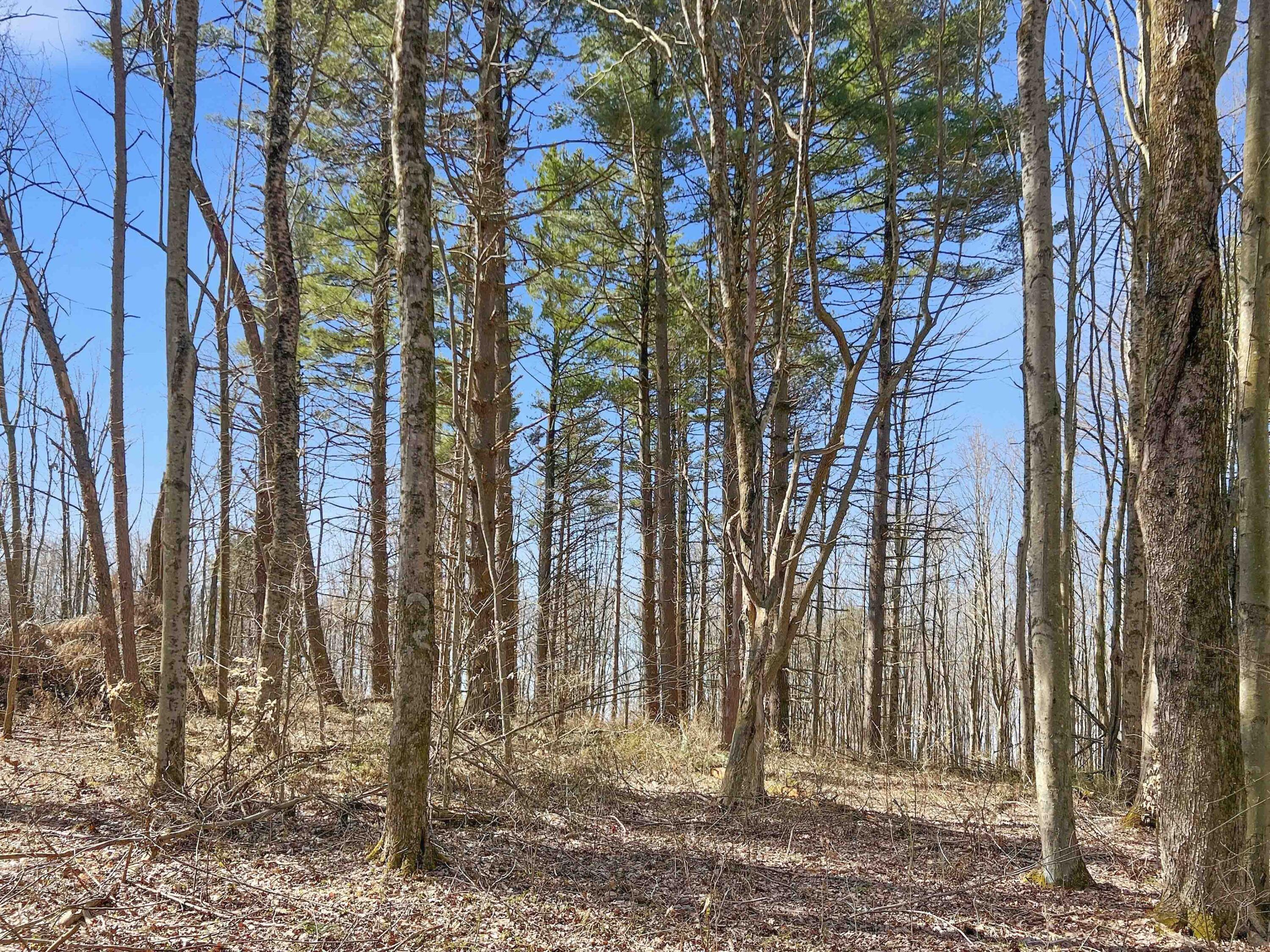 22470 Griffith Road Property Photo 1