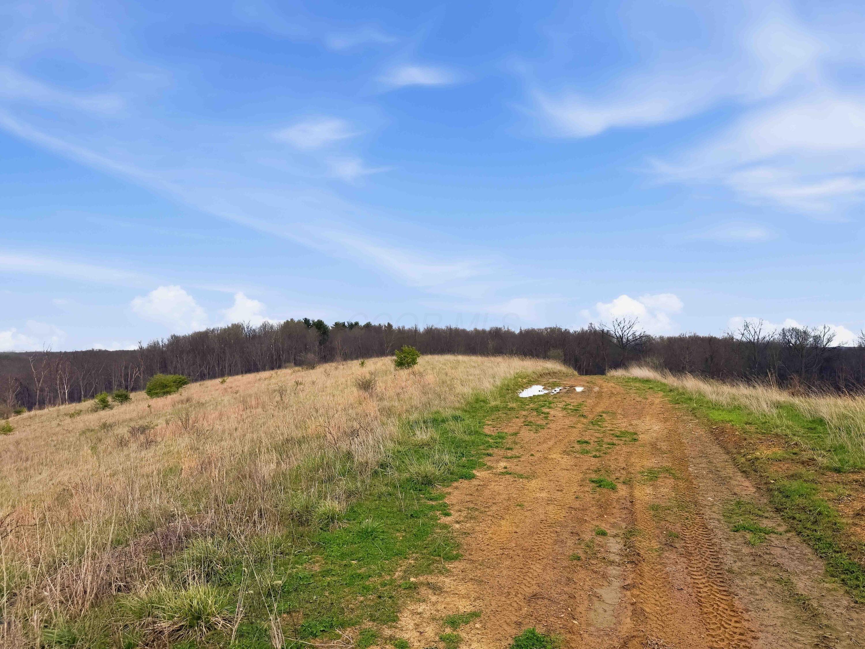 22470 Griffith Road Property Photo 5