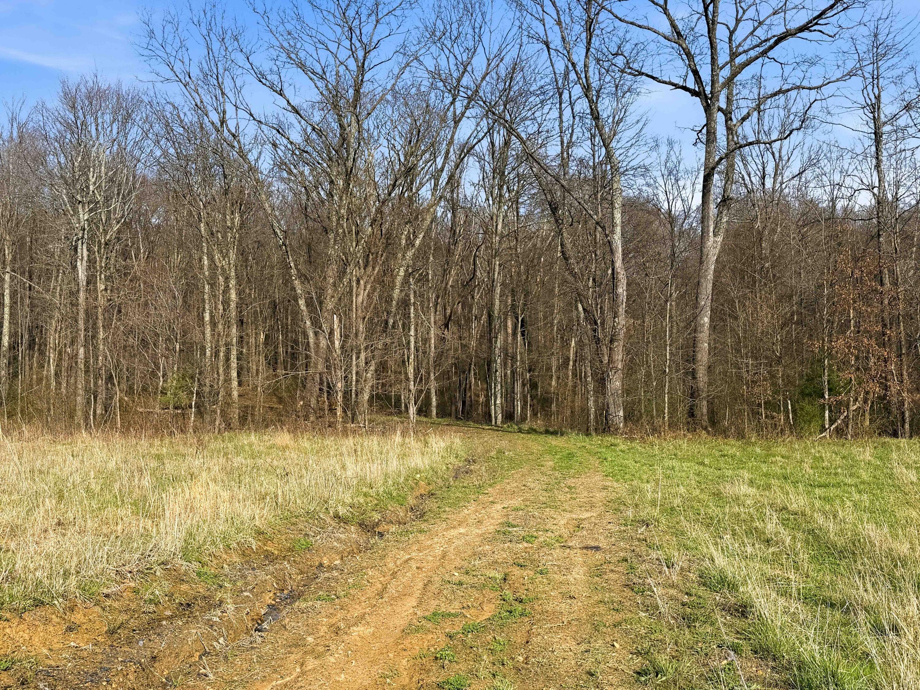 22470 Griffith Road Property Photo 6